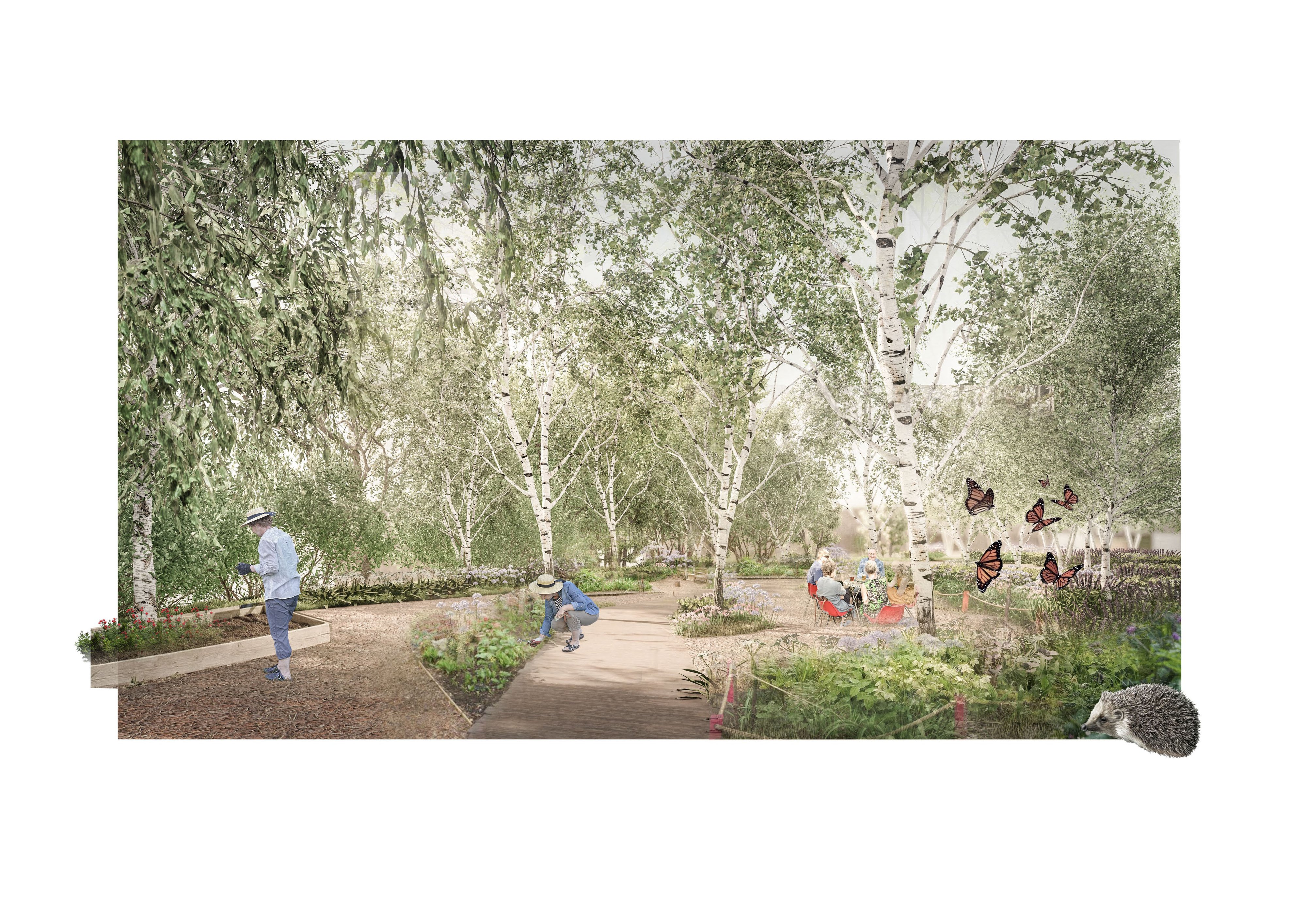 Community garden and Tiny Forest