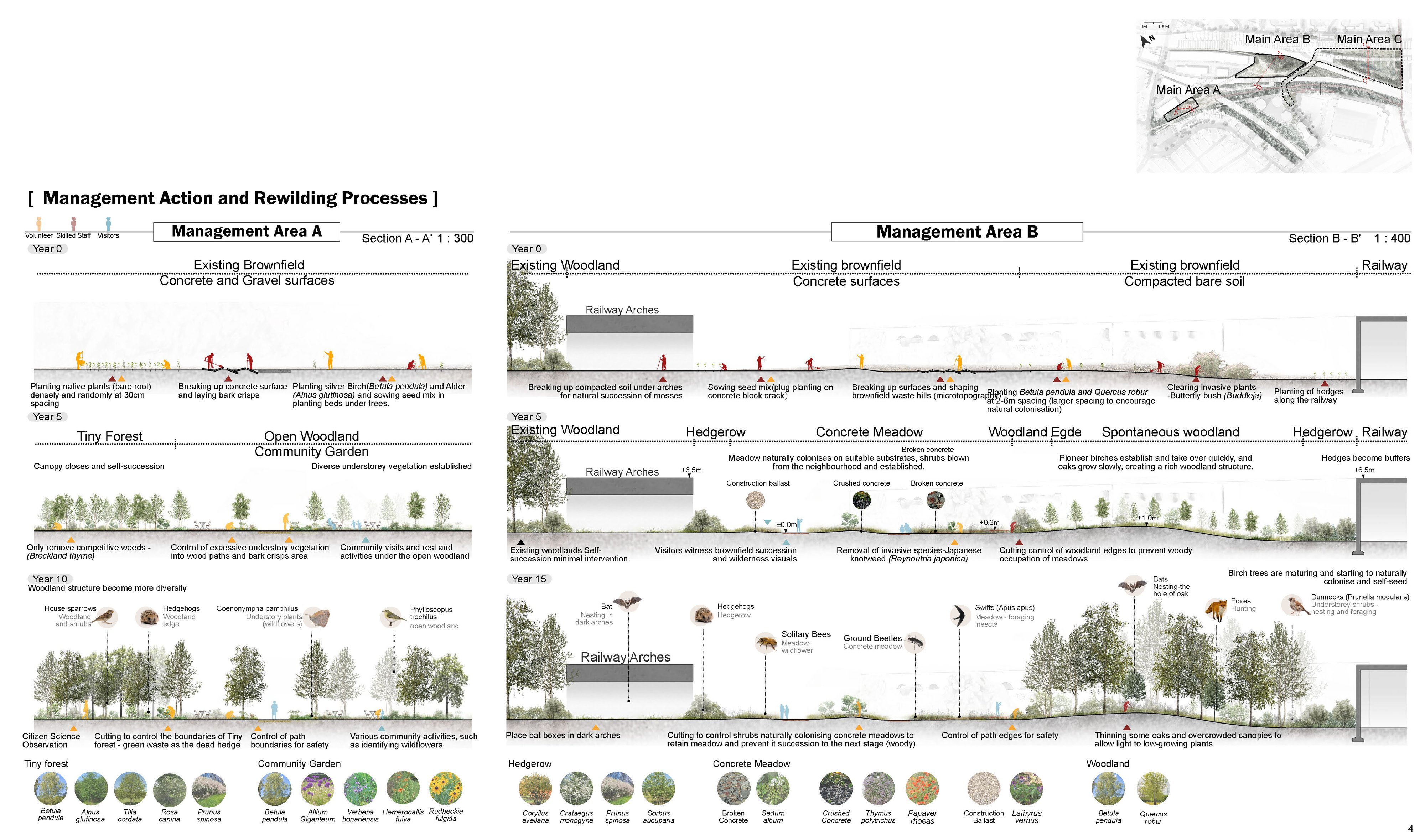 Rewilding Processes of Area A and B