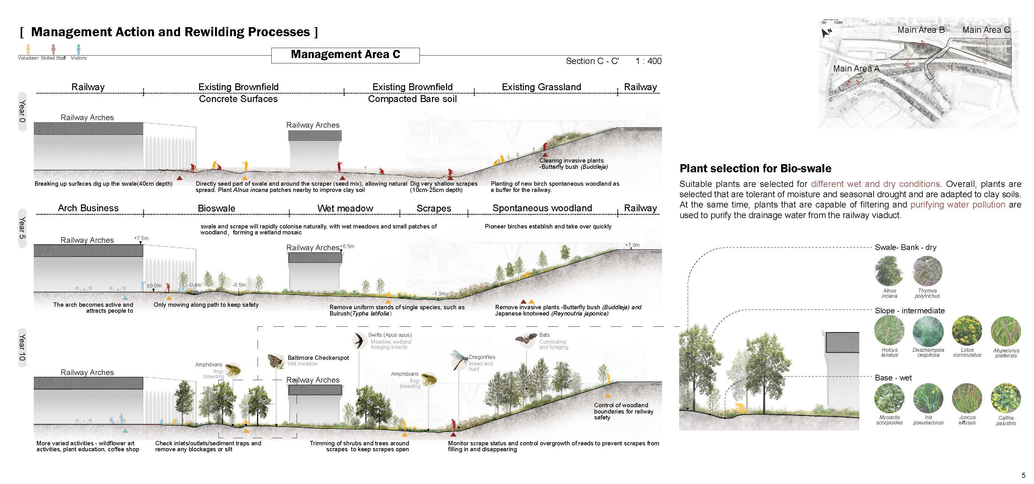 Rewilding Processes of Area C