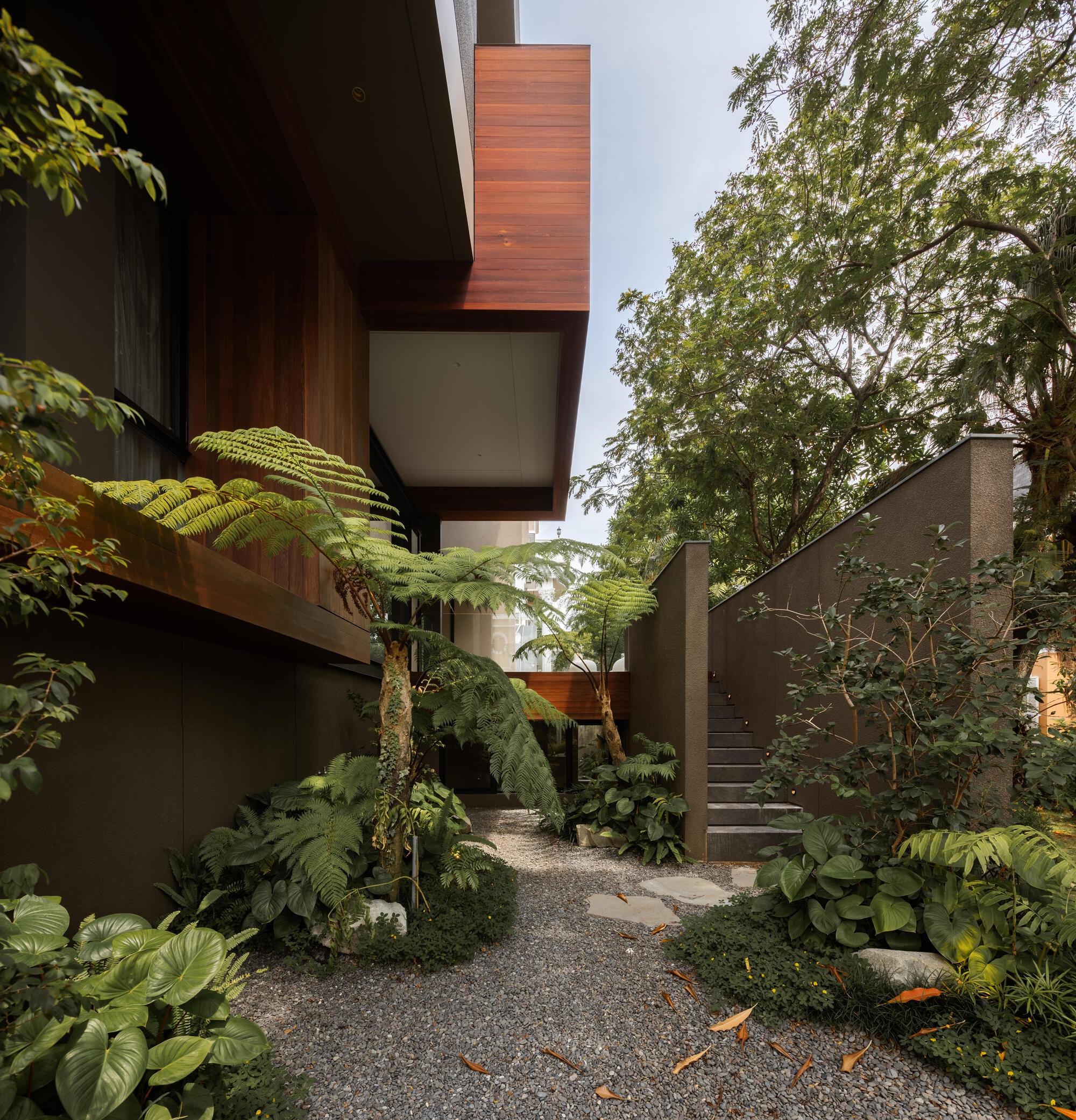 Gravel courtyard with tree ferns and stone steps leading between timber and concrete volumes
