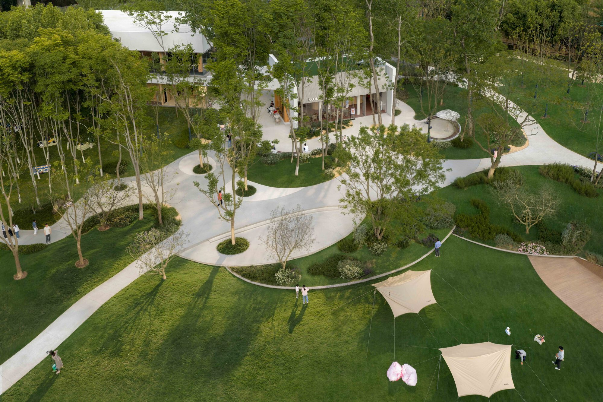 Overhead view of sinuous white concrete paths connecting lawn areas dotted with trees and shade structures