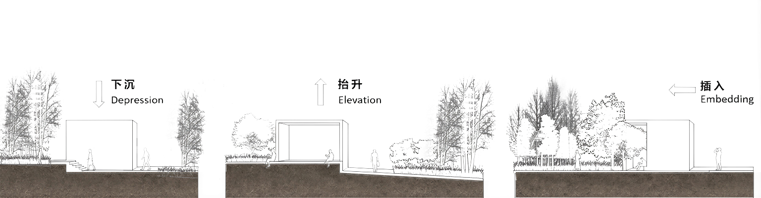 Three section drawings depicting varying topographic relationships between built volumes and planted tree canopies