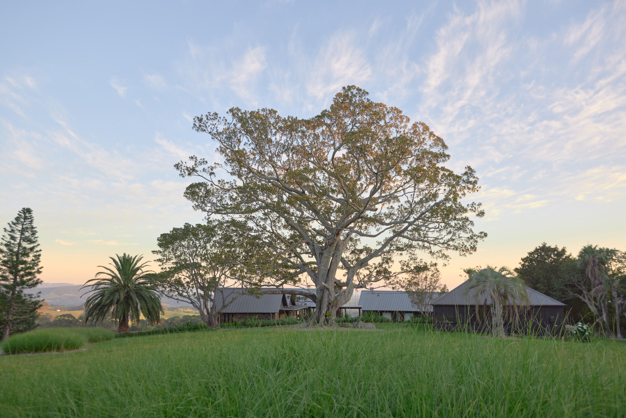 Metal-roofed pavilions beneath a large tree in a grassy field at sunset