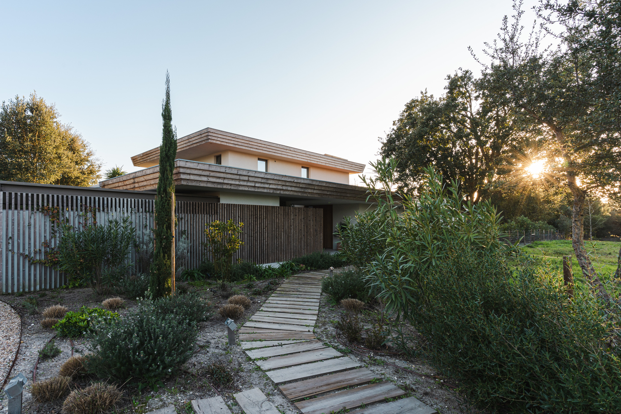 Timber walkway crossing a gravel garden with planted beds leading to a vertical slat screen at dusk
