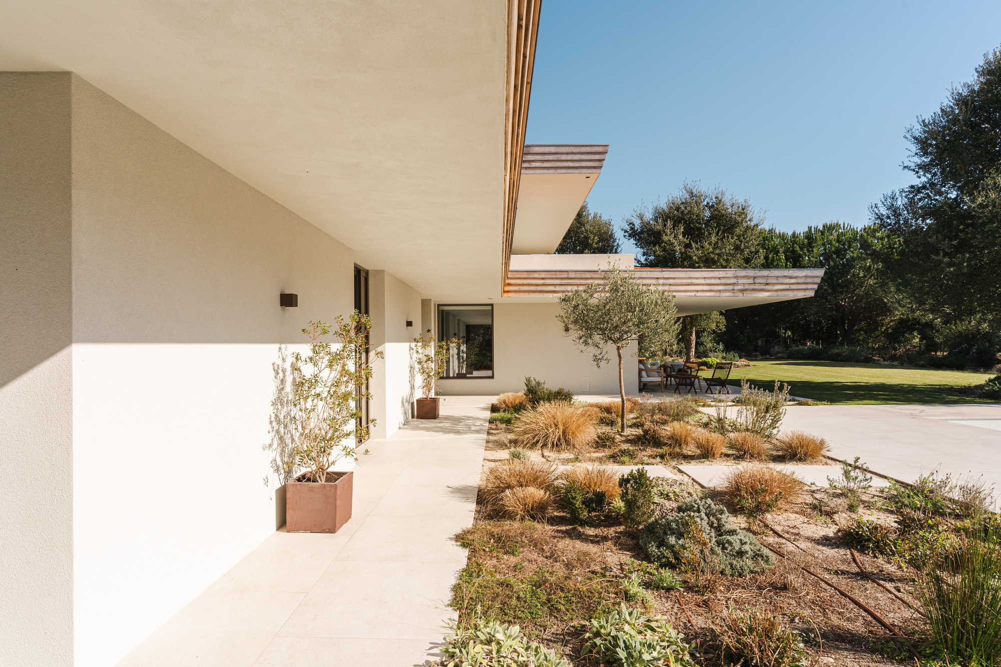 Covered terrace with white stucco walls and planted beds of grasses and olive trees under clear skies