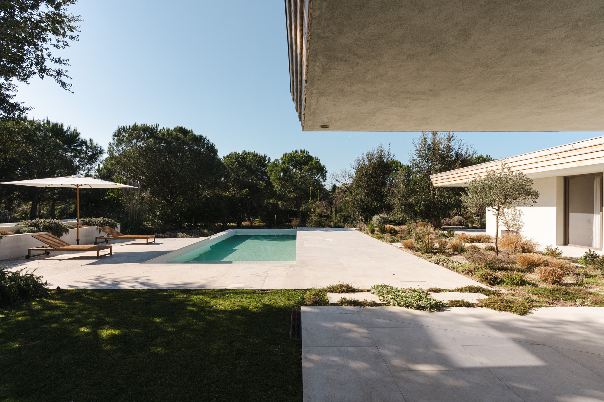 Terrace and pool area framed by cantilevered roof overhangs and native plantings in afternoon sun
