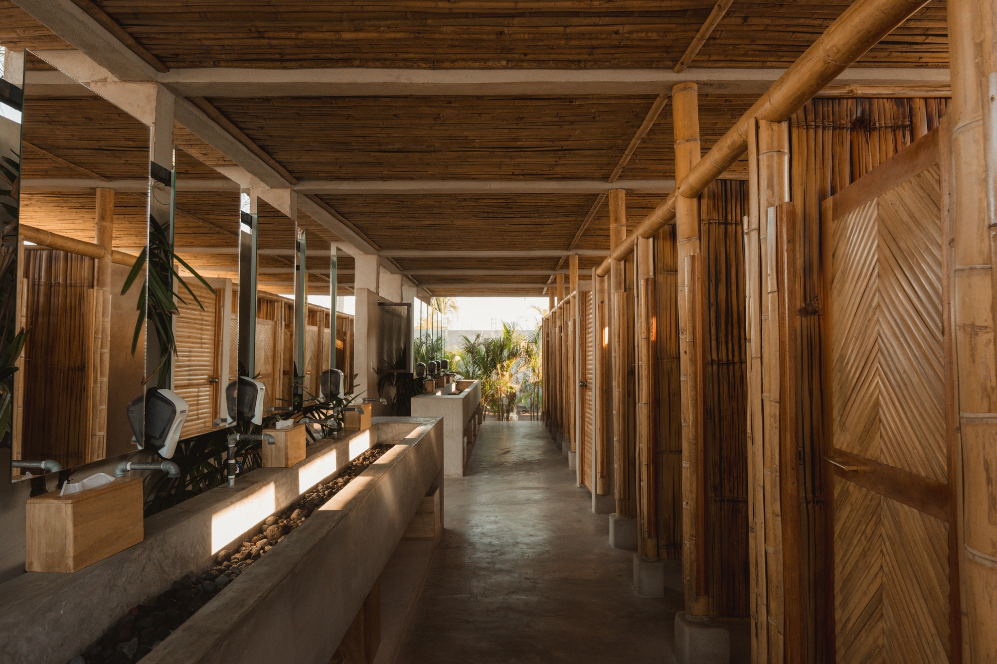 Interior corridor with exposed timber ceiling beams, bamboo wall panels and polished concrete planters in sunlight
