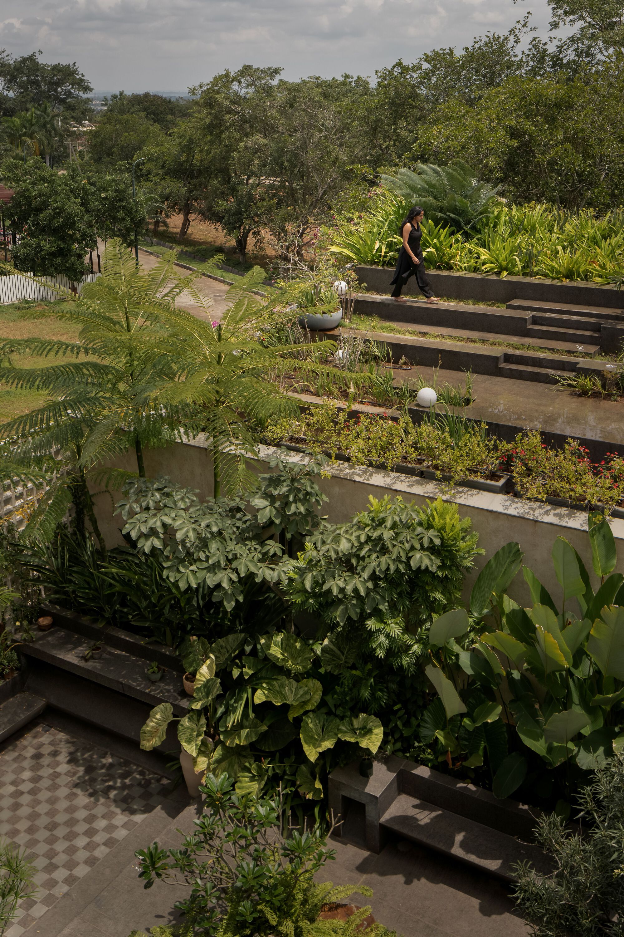 Planted terraces with timber benches and mixed tropical vegetation viewed from above with a figure passing through