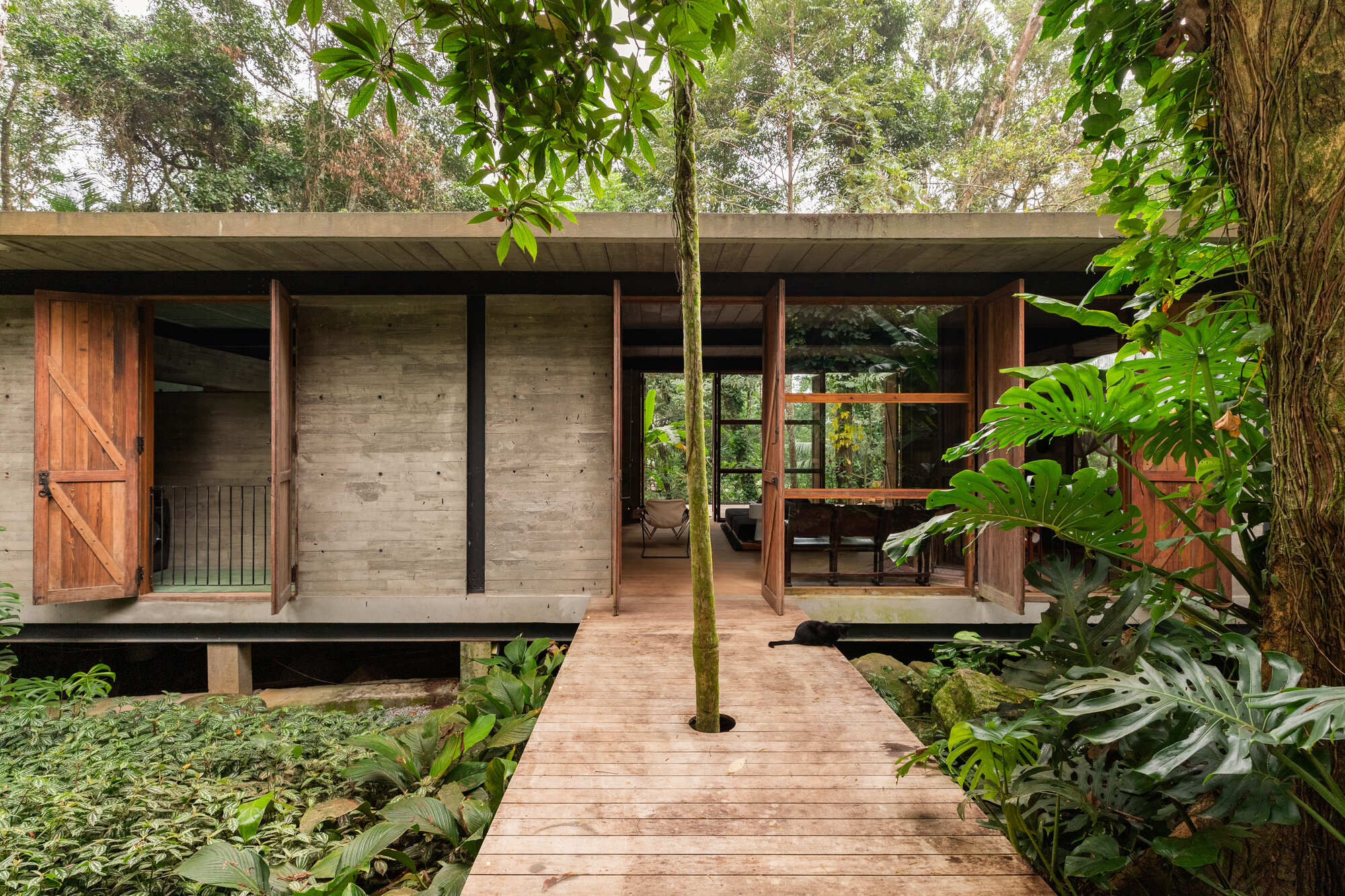 Timber boardwalk leading through planted groundcover to board-formed concrete pavilion with existing tree
