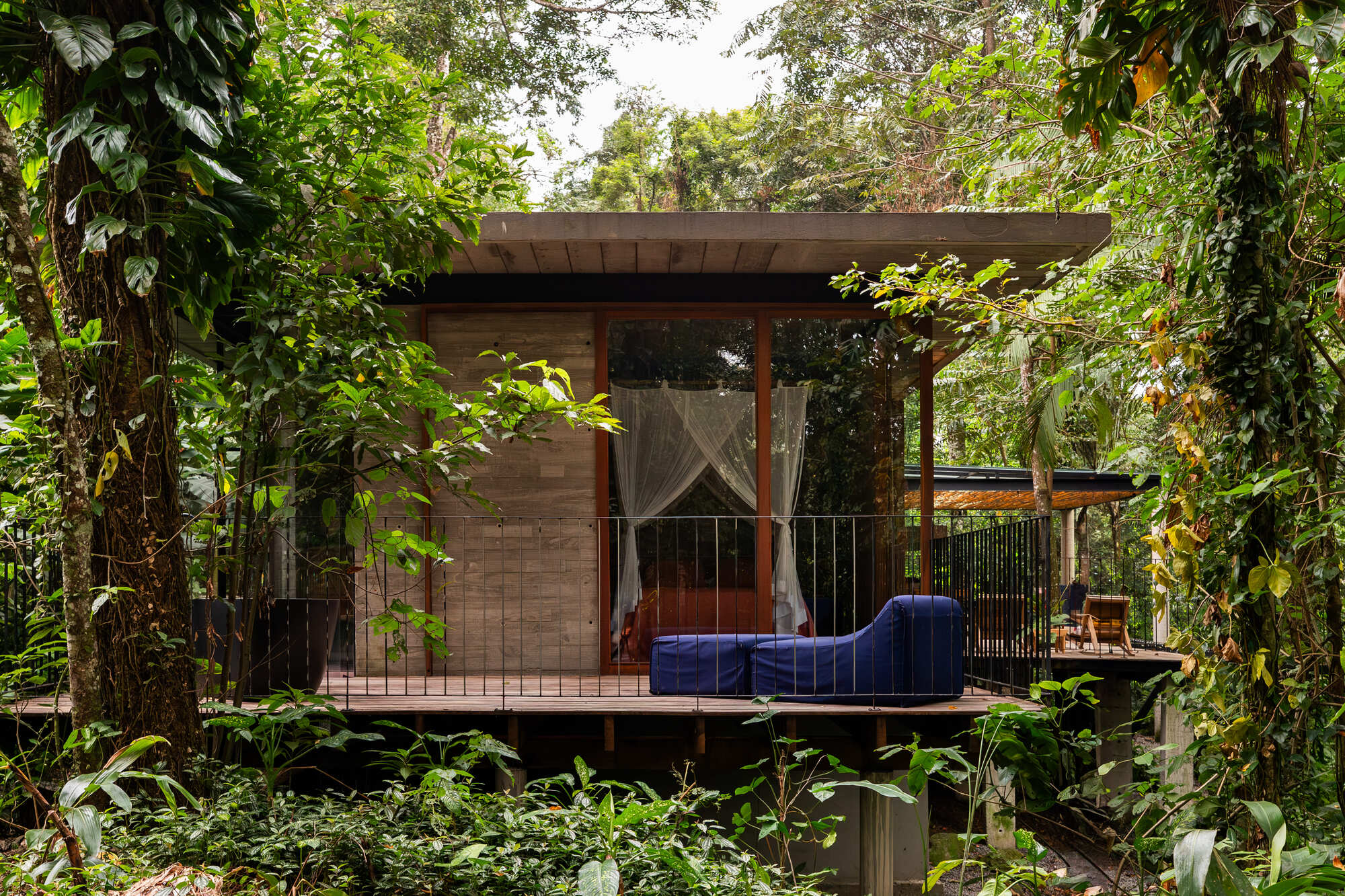 Timber pavilion elevated on stilts among dense tropical vegetation with a blue sofa on the deck