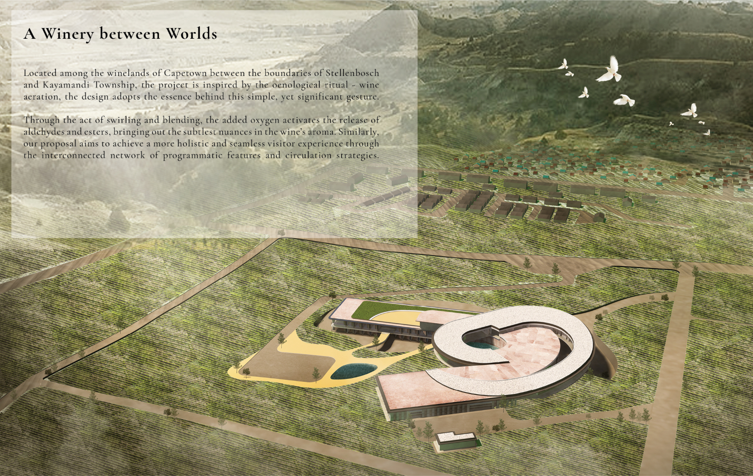 Aerial view of Perfect Blend, where the swirling winery form connects vineyards, community, and landscape.