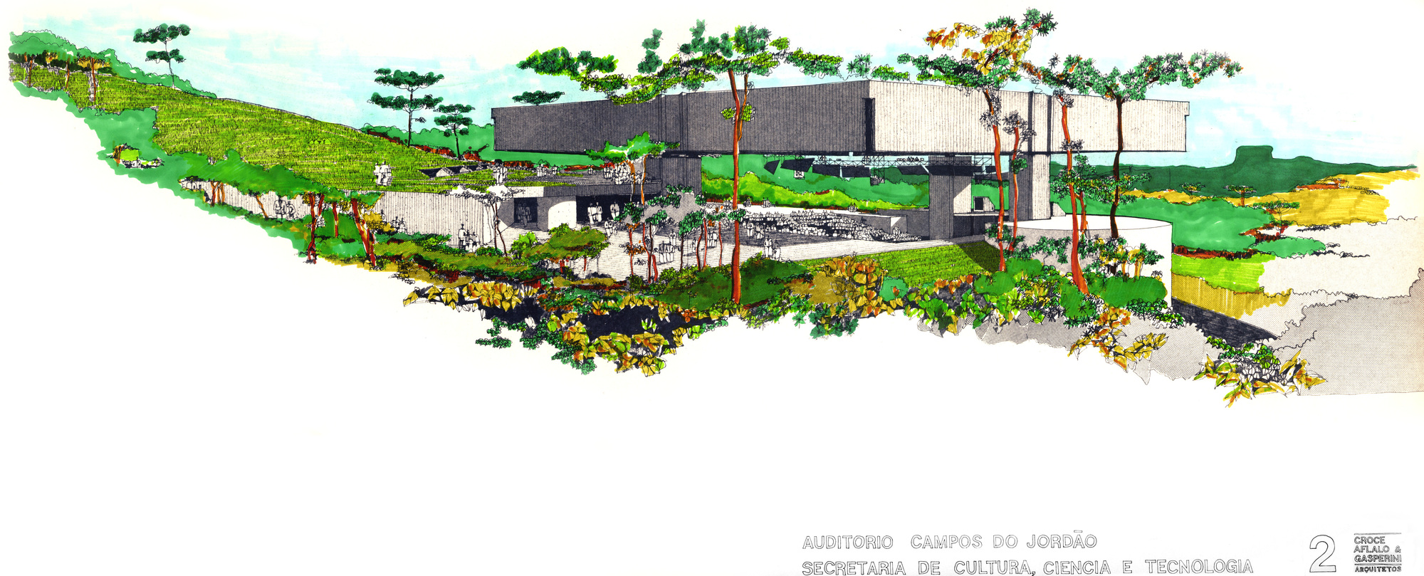 Perspective sketch showing a hillside auditorium surrounded by landscaped pine trees and native vegetation