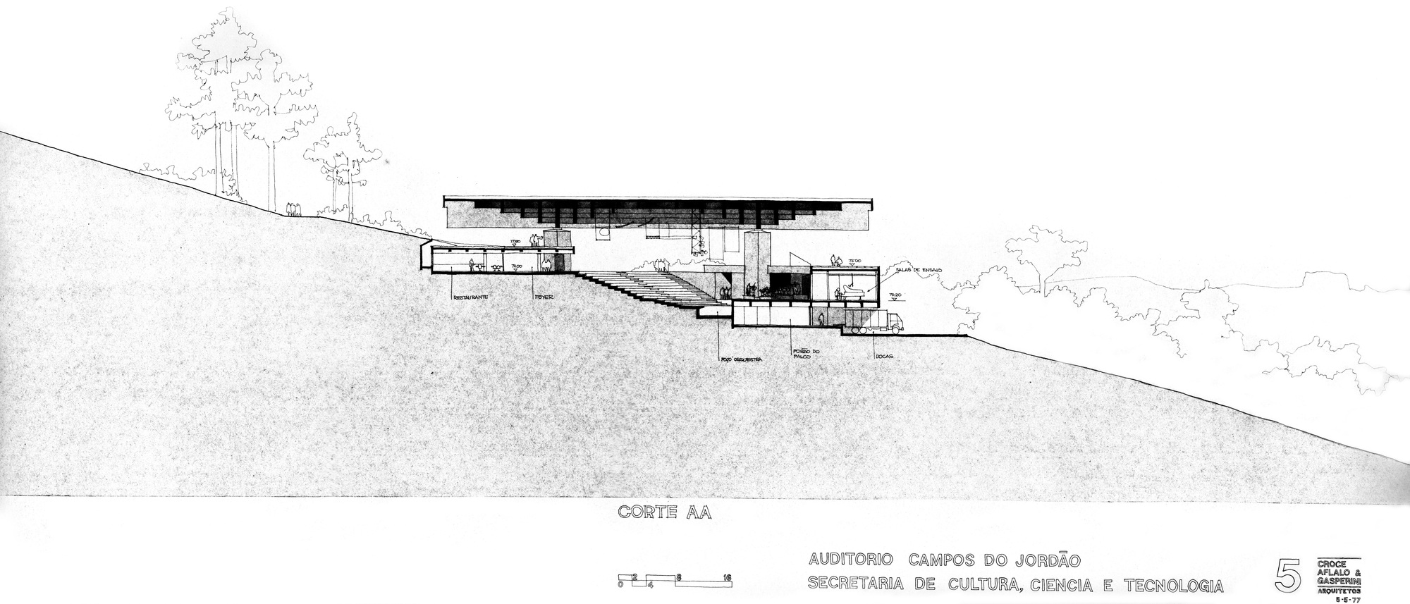 Section drawing revealing the auditorium embedded into a hillside with trees sketched above