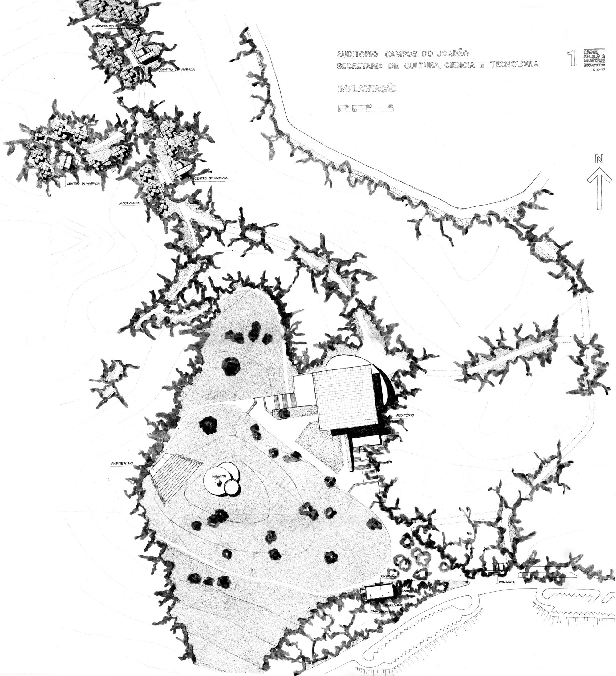 Site plan drawing depicting a building nestled among irregular tree canopies with stepped pathways