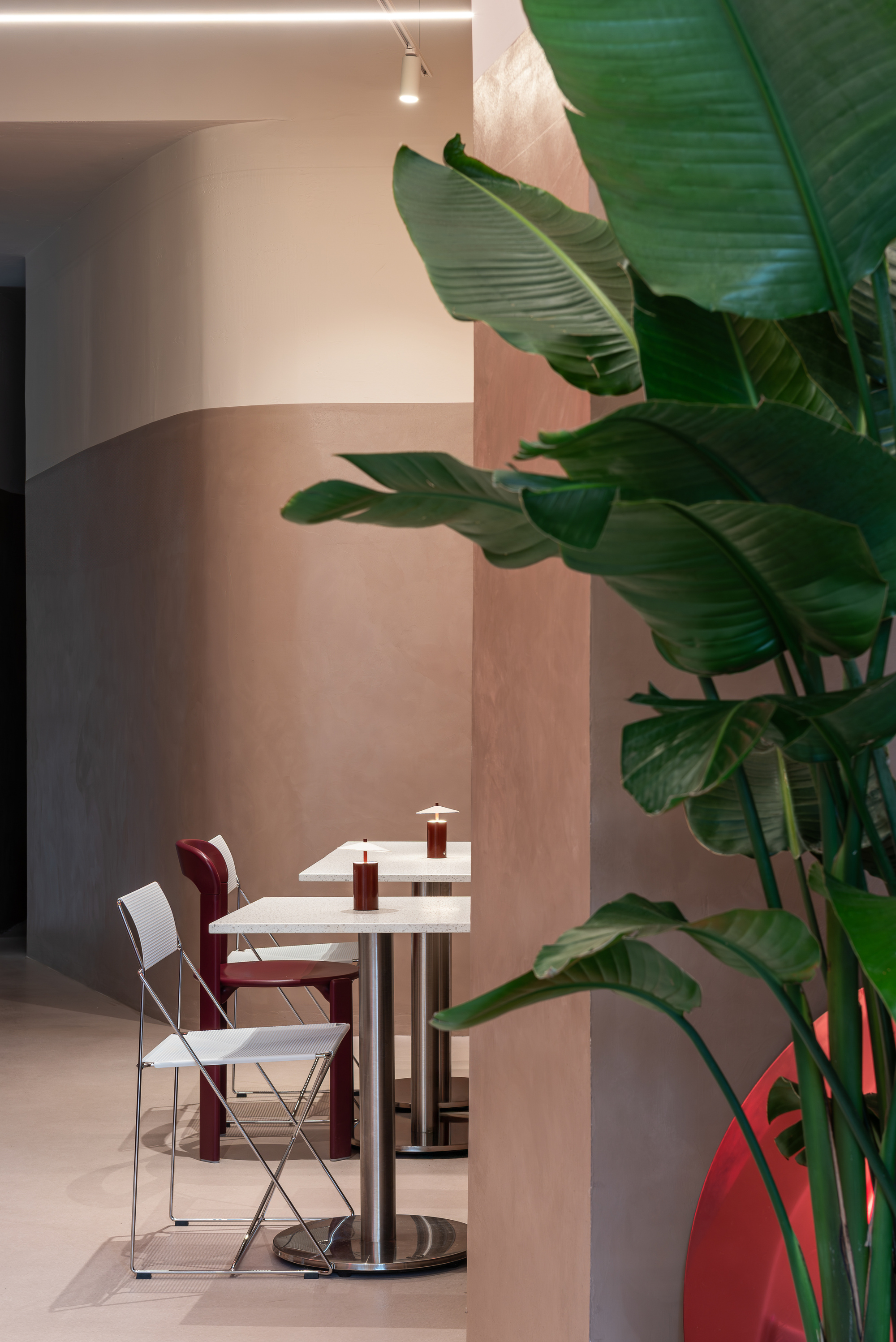 Curved partition wall in pink plaster beside a table with large leafy plant in foreground