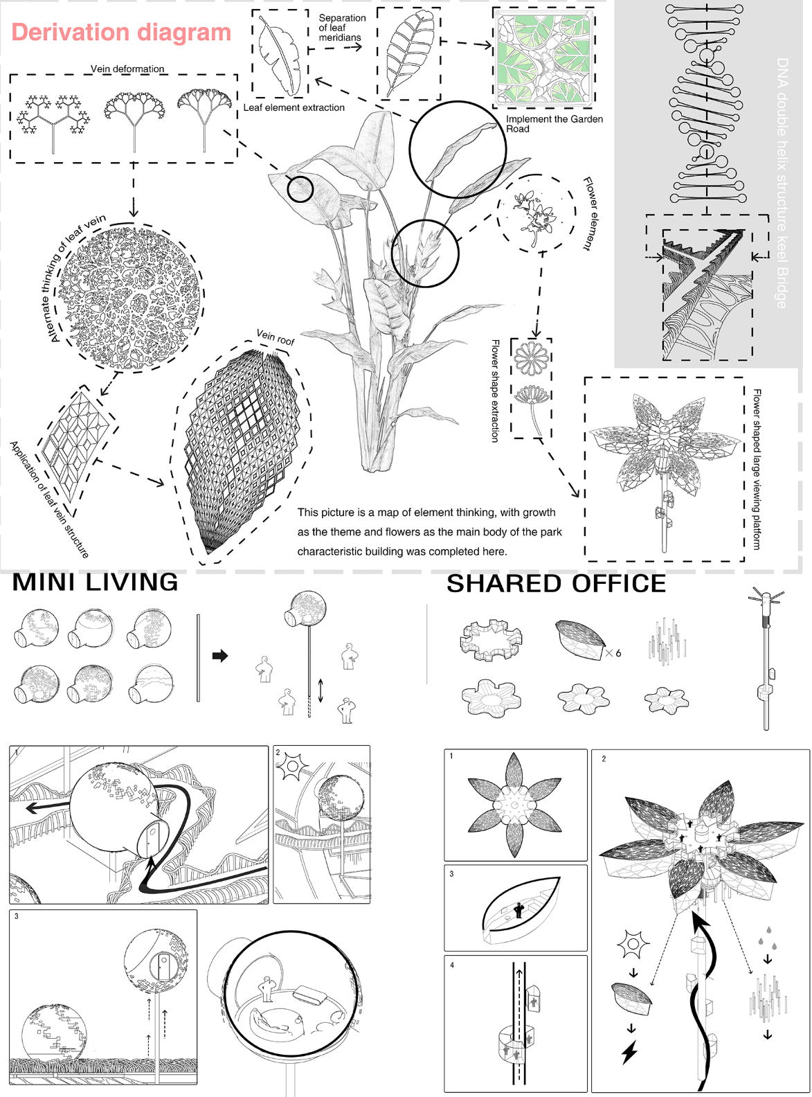 The derivation diagram transforms leaf veins and flower geometries into parametric roofs, shared offices, living pods, and circulation systems.