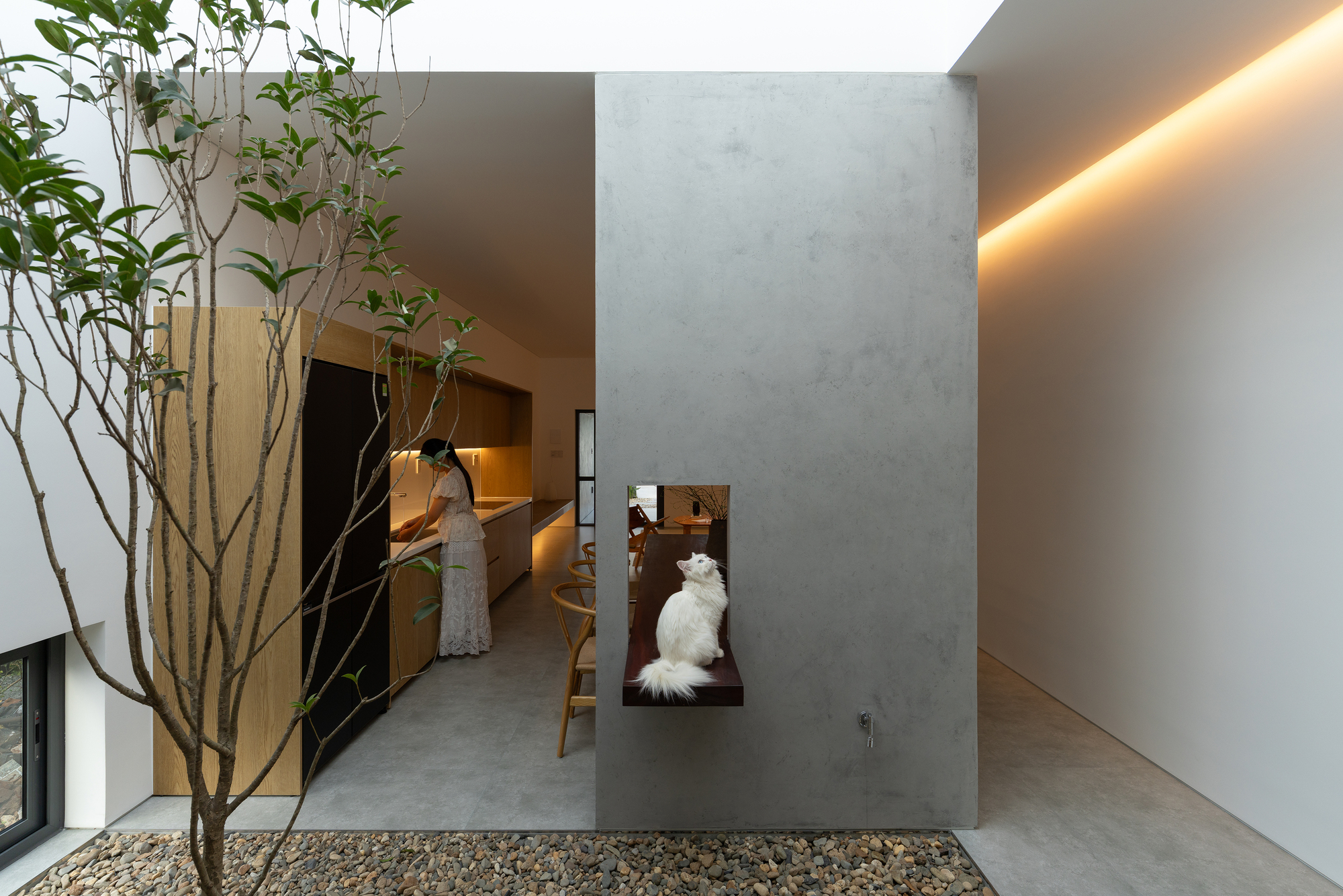 Interior concrete wall with timber framed niche and a young tree in a gravel bed