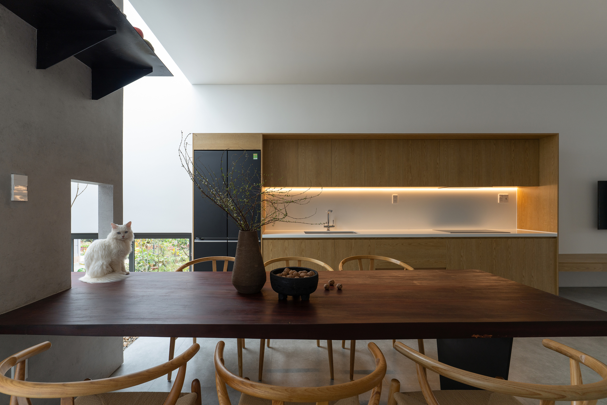 Dining table with timber chairs and white cat looking toward courtyard window