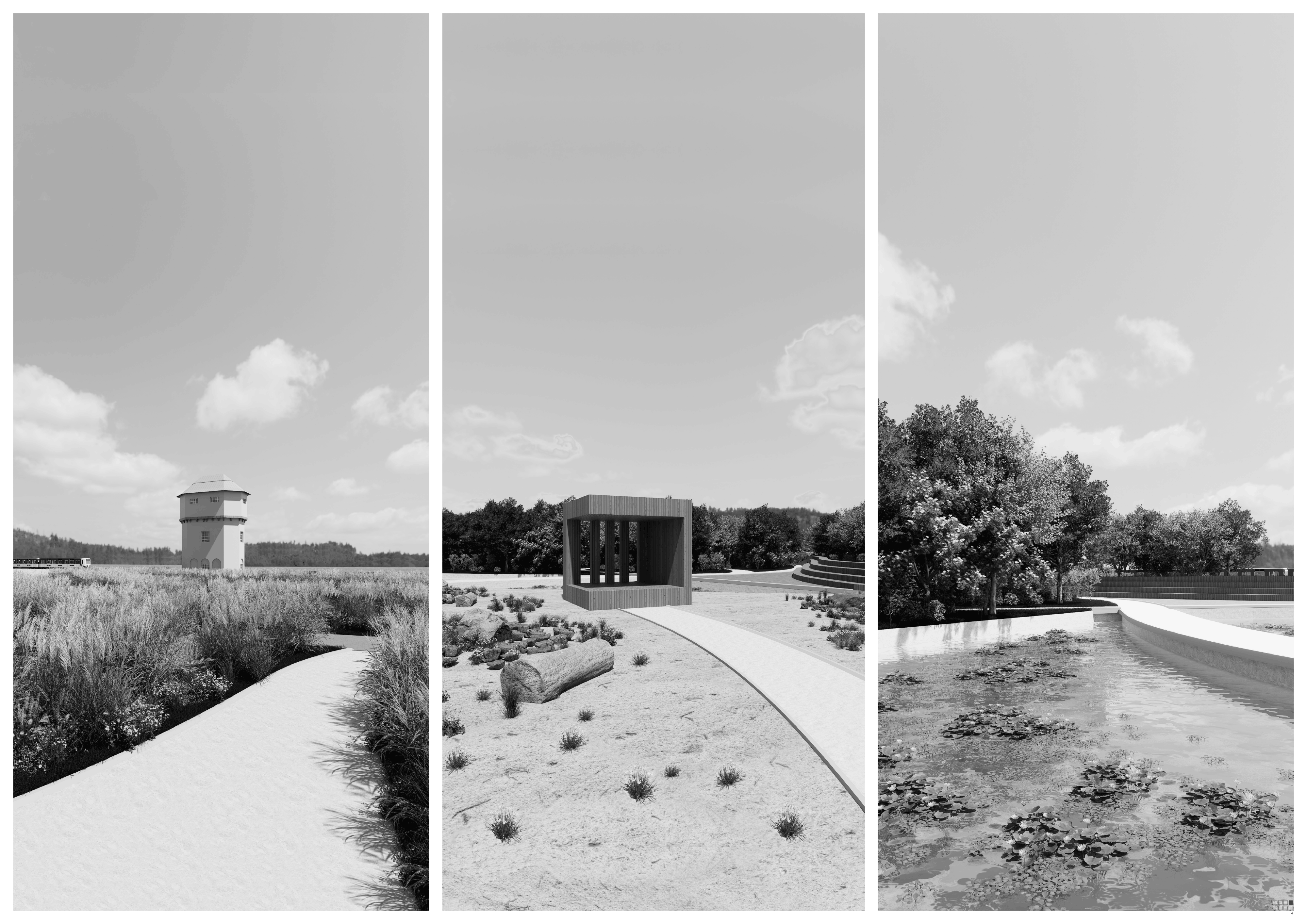 Views of the landscape part
