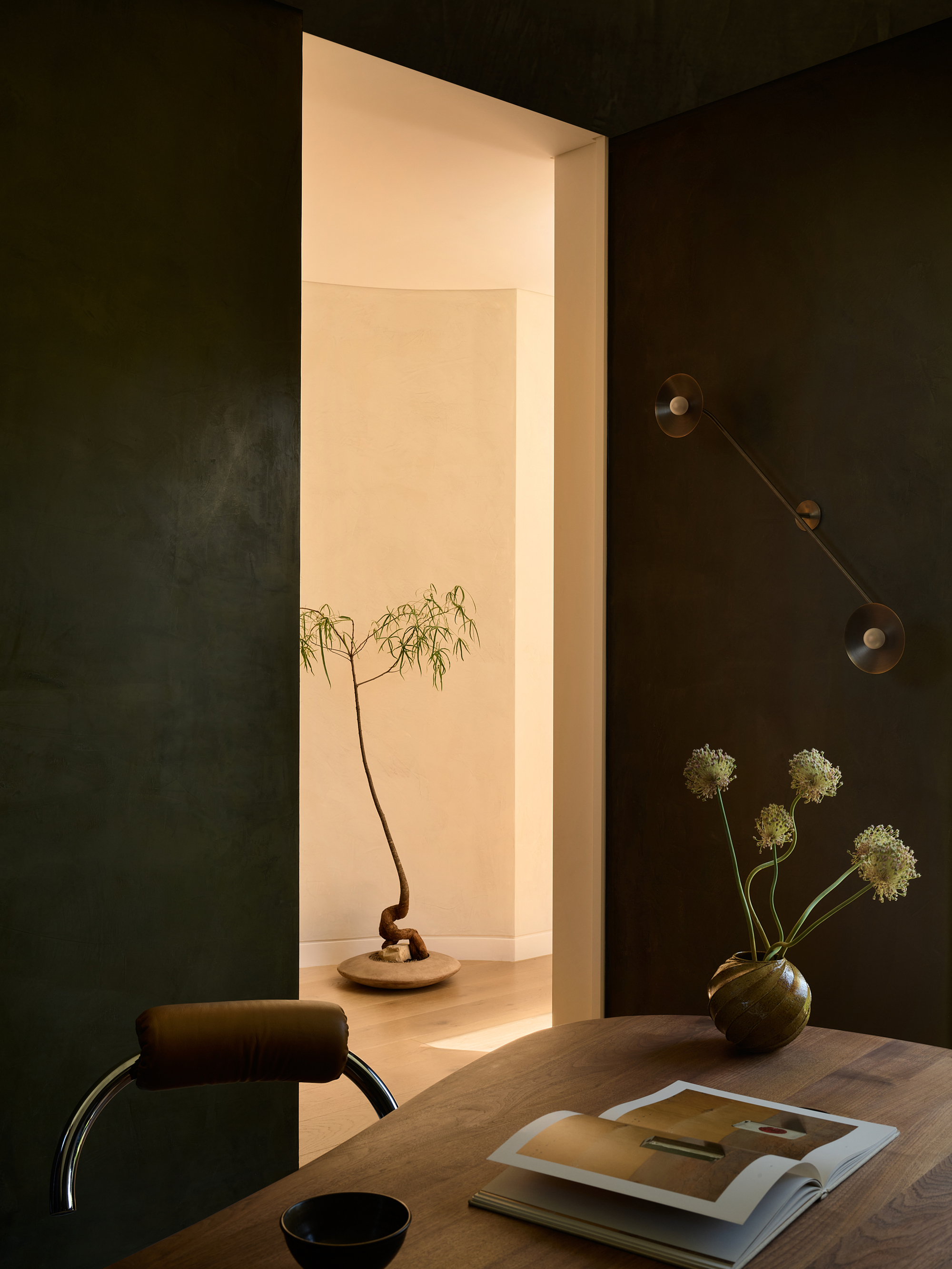 Doorway framing an adjacent room with a potted tree and warm light filtering through