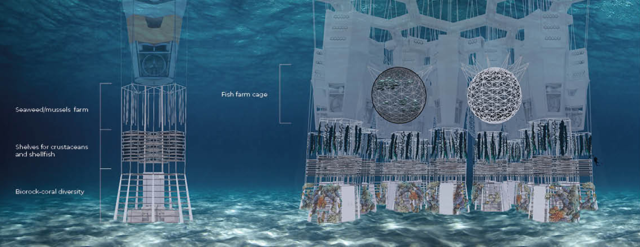 Underwater elevation showing modular aquaculture structures with mesh enclosures and translucent farming panels