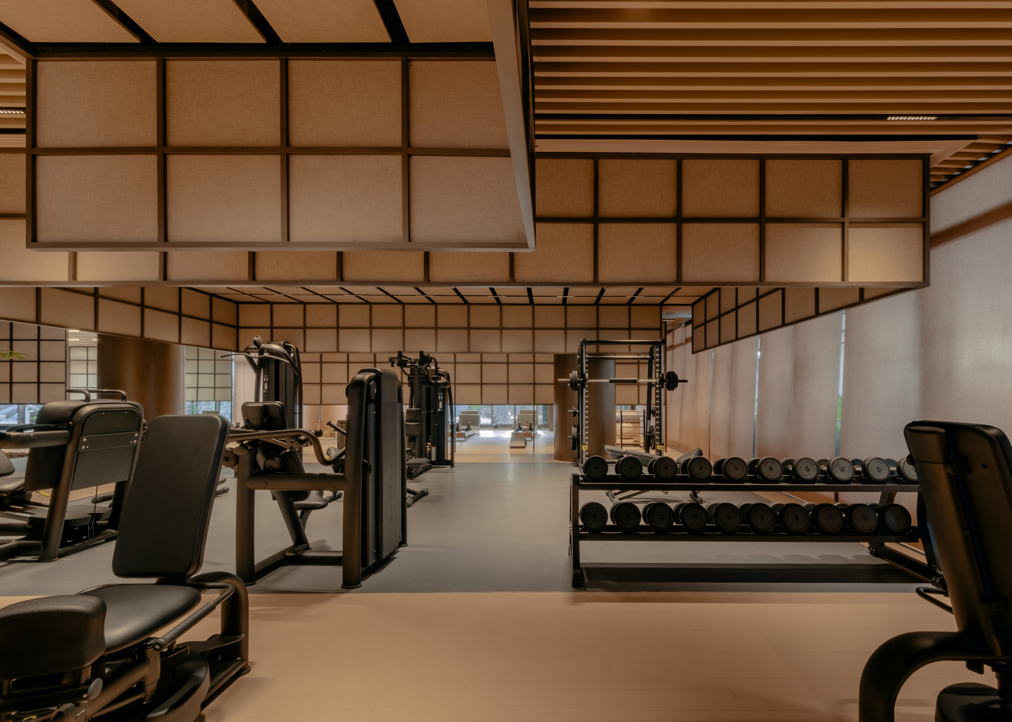 Gym area with weight equipment and benches beneath gridded translucent wall and ceiling system