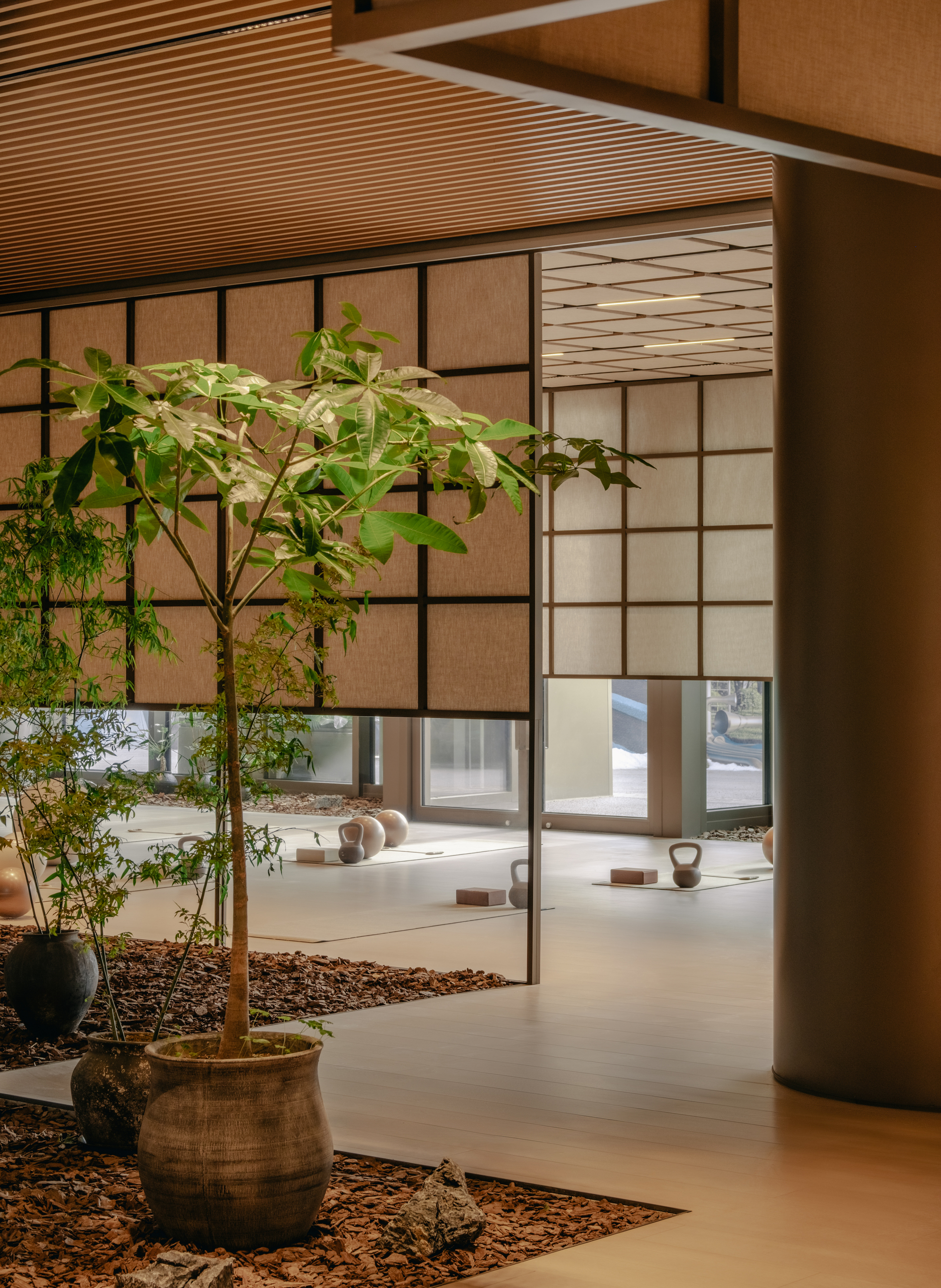 Interior courtyard with potted tree in ceramic vessel beside translucent gridded partitions and ribbed wood ceiling