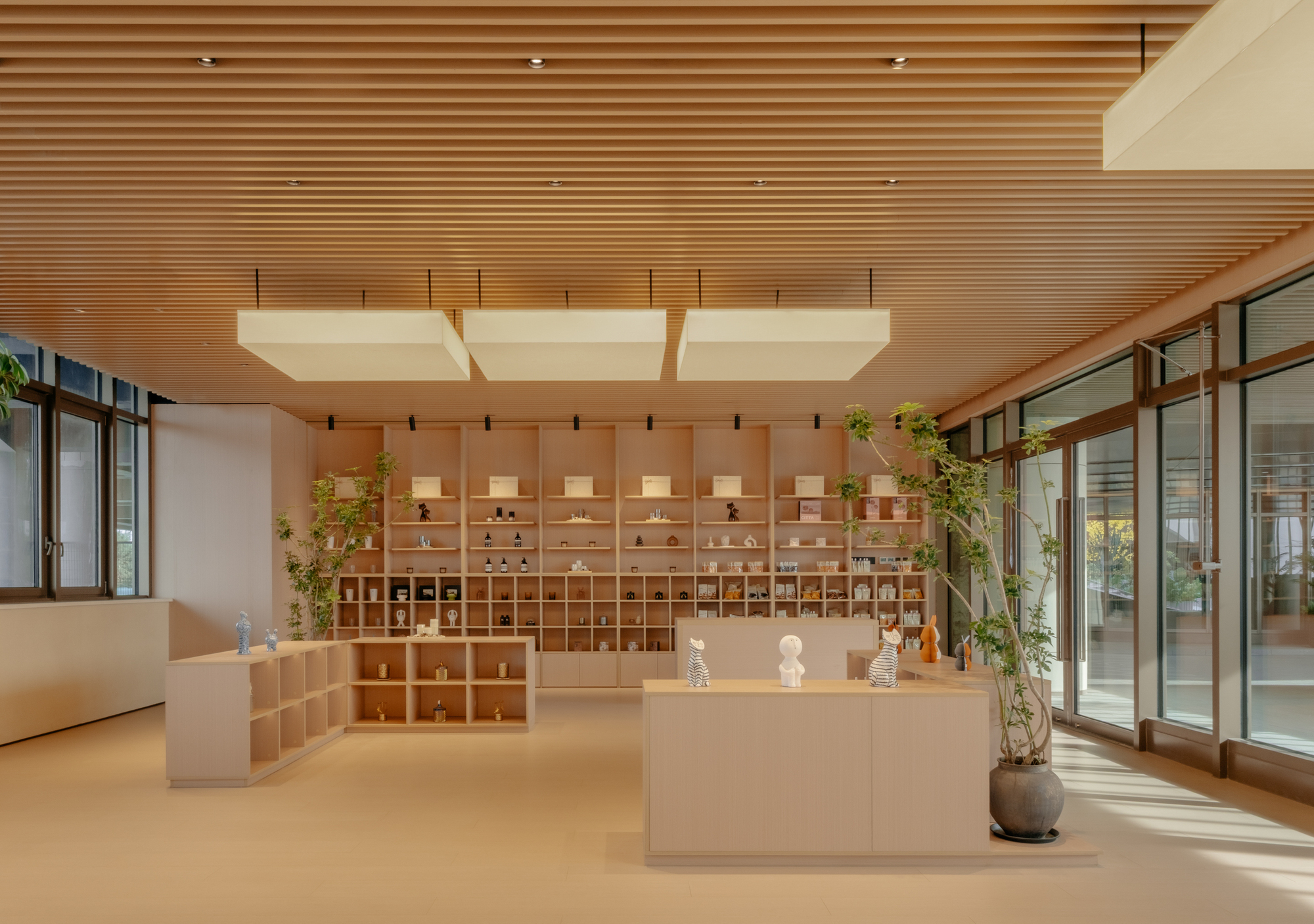 Retail space with central display counter, gridded storage wall, slatted wood ceiling, and flanking potted plants