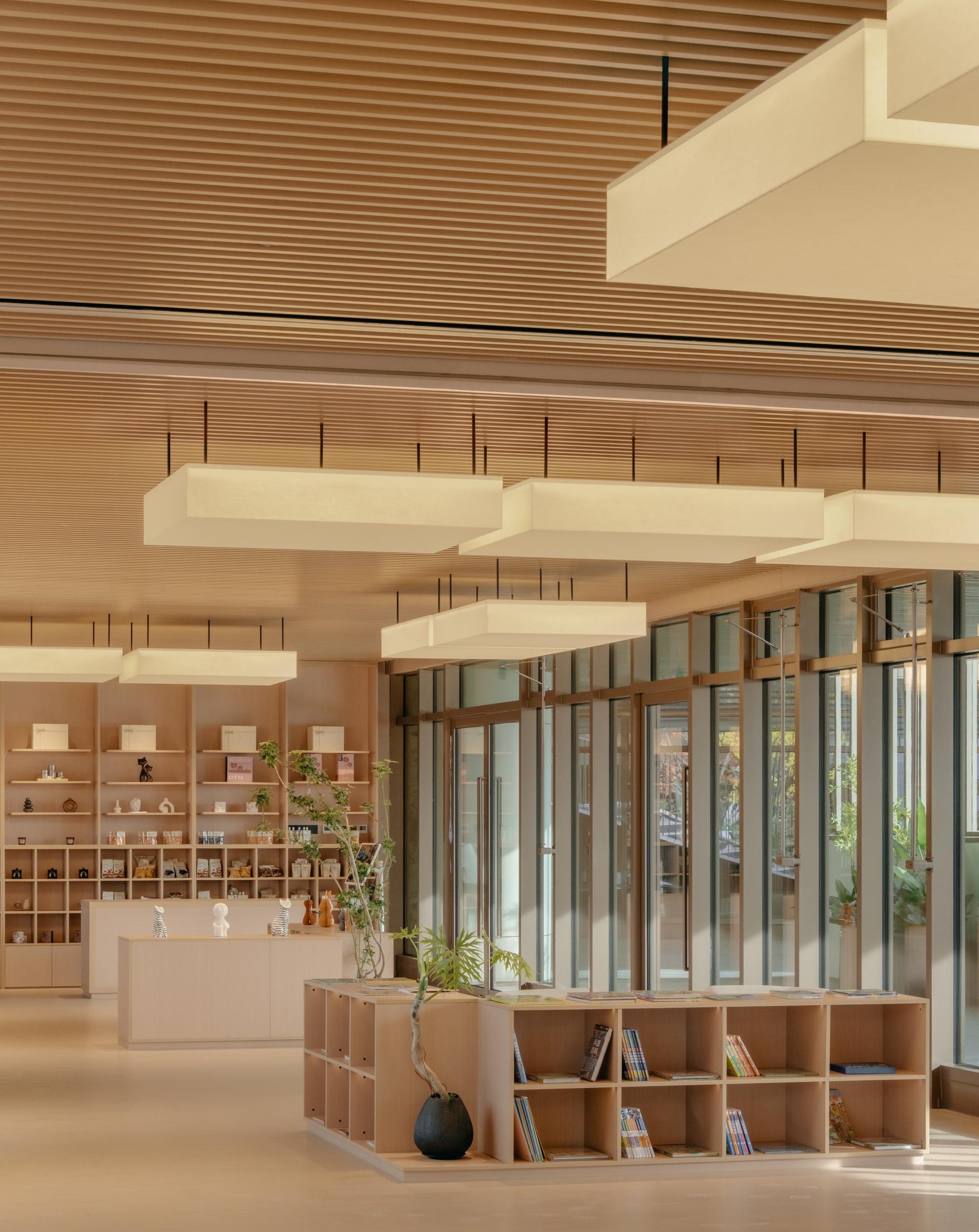 Interior view with suspended fabric light fixtures above low cubby shelving near glazed courtyard screens with greenery
