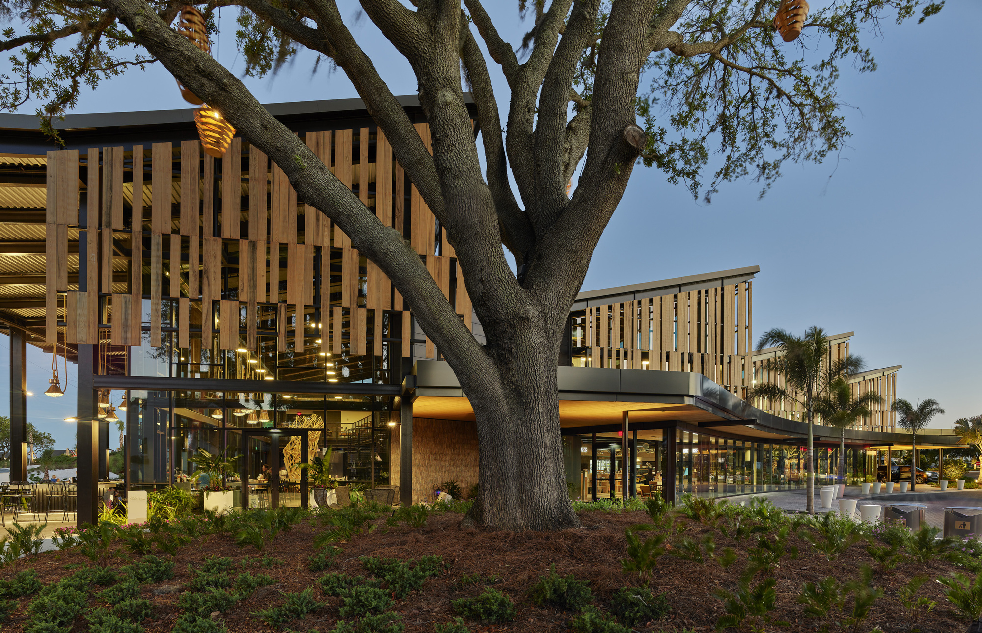 Elevated timber-screened volumes on steel columns beneath a large oak tree at dusk