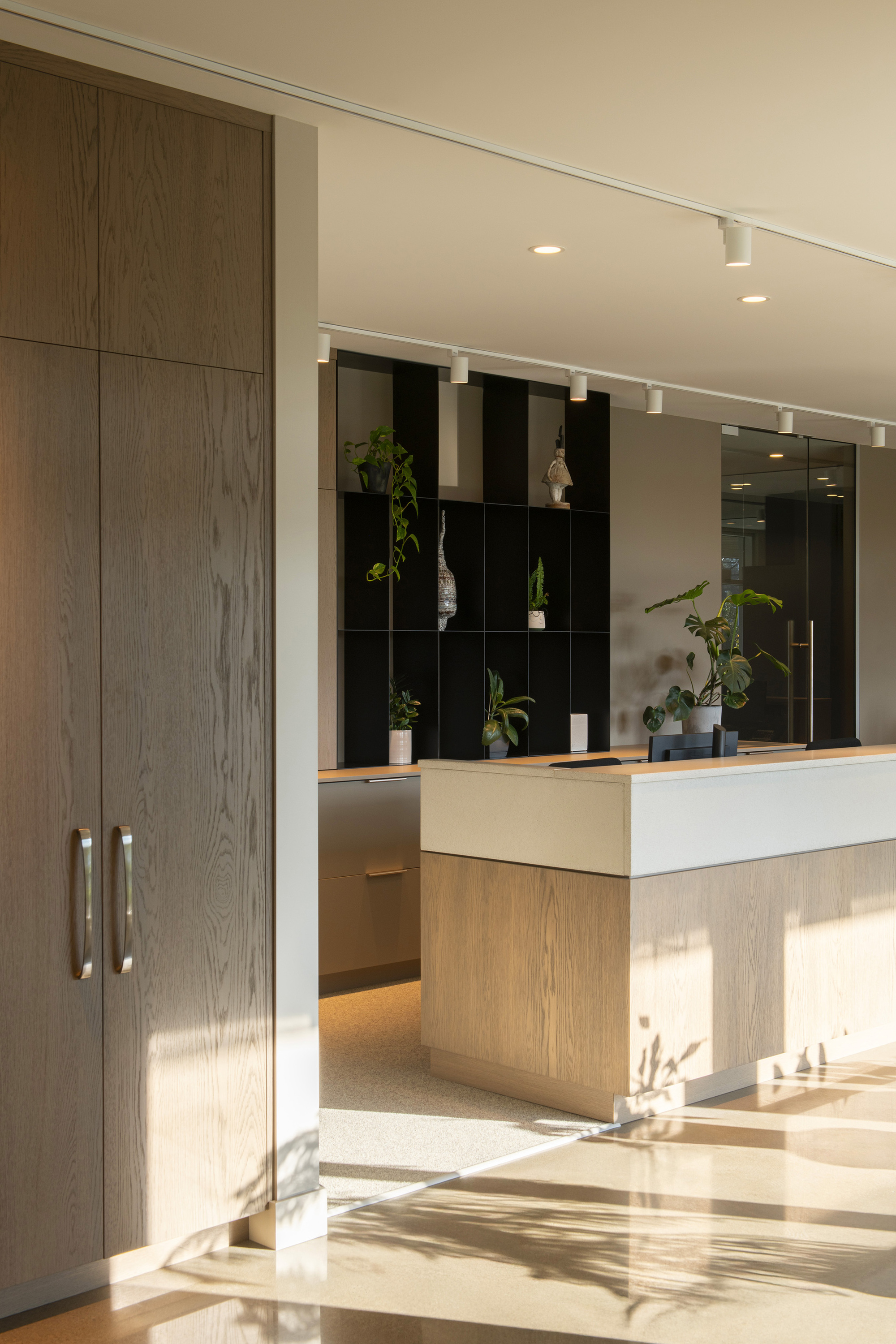 Reception desk with light oak millwork and black cubby shelving illuminated by afternoon sun