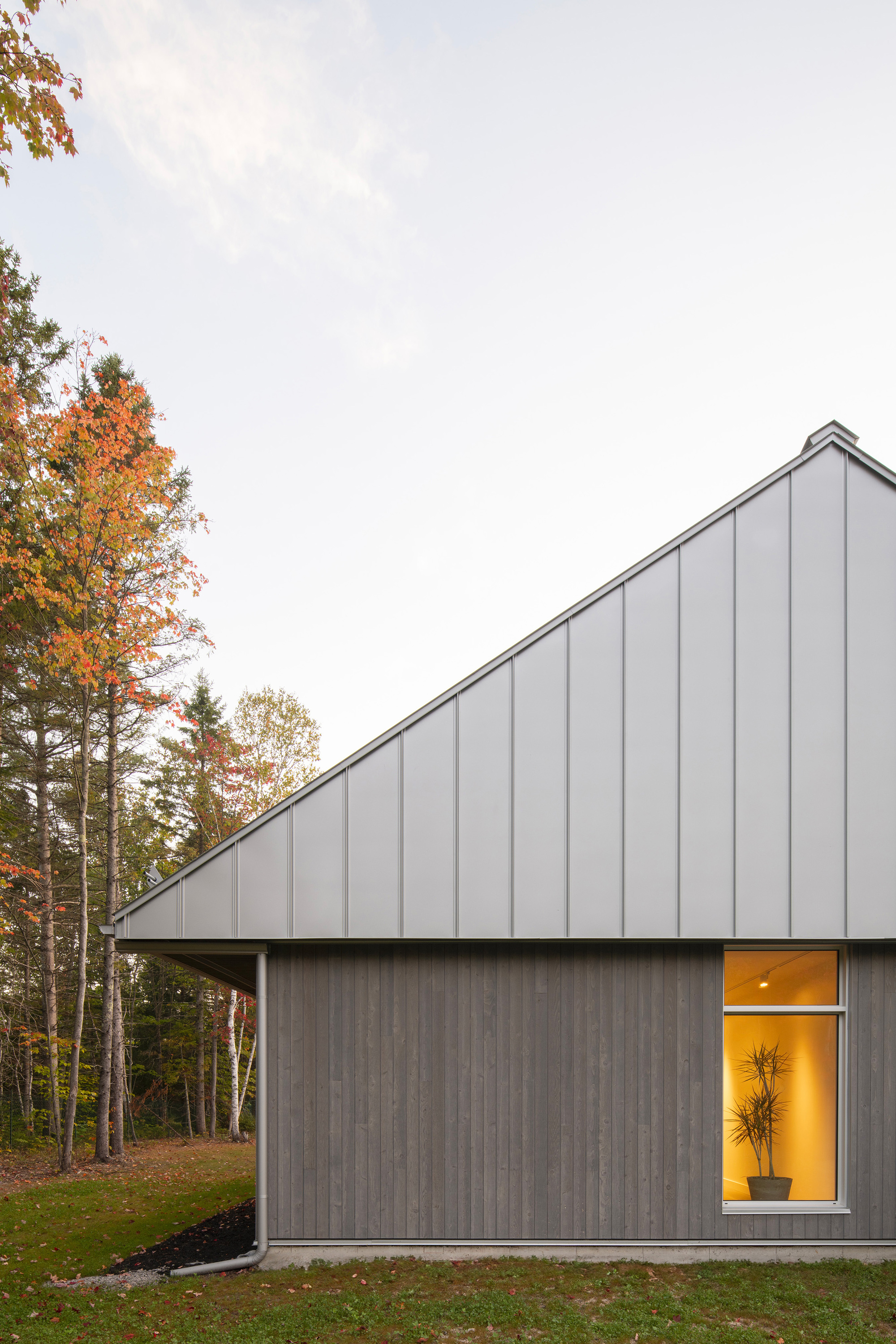 Charcoal vertical siding and standing seam metal roof with illuminated corner window in autumn forest