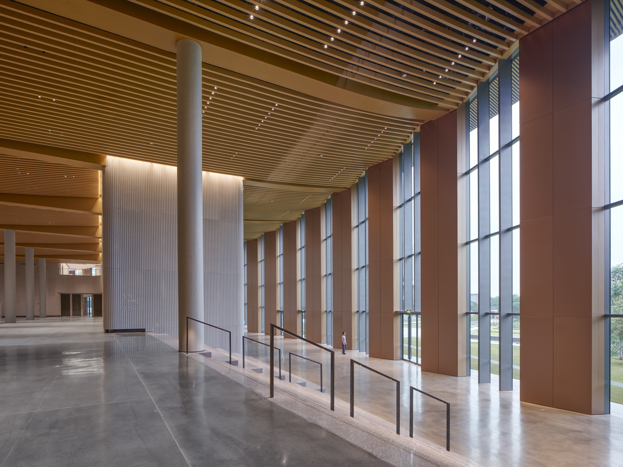 Interior lobby with tall glazed curtain wall filtered by timber screens and track lighting along timber slat ceiling