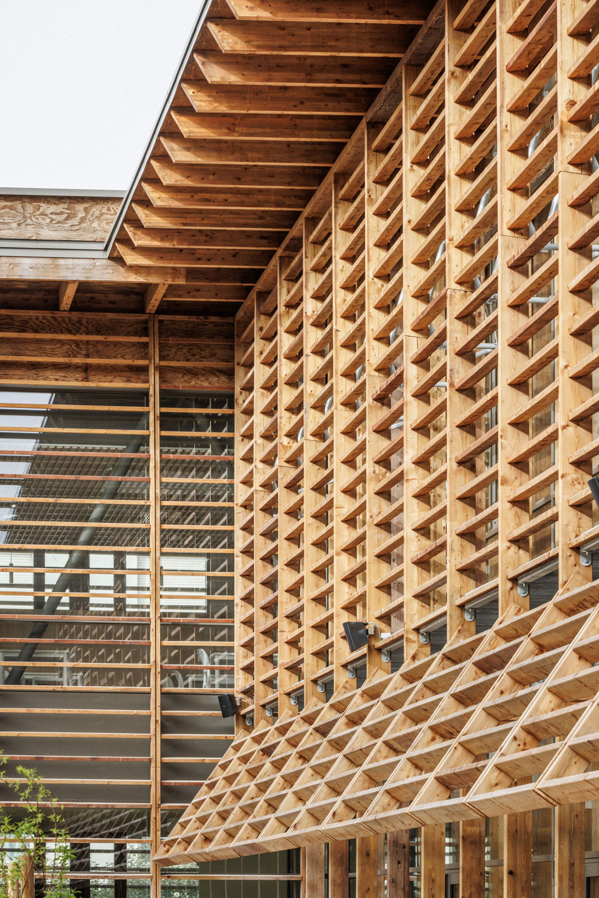 Close-up of the gridded timber facade and exposed roof joists meeting at a corner