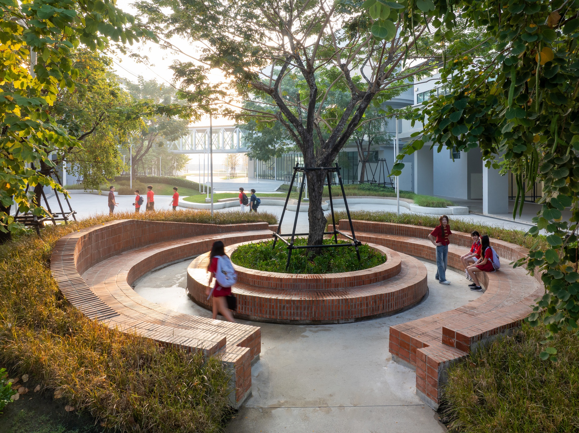 Circular brick terraces surrounding a preserved tree where children gather in dappled afternoon light