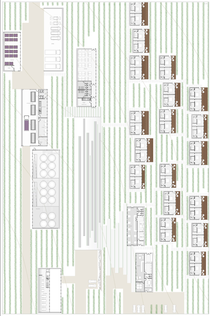 Master plan integrating winery production, hospitality, and guest accommodation within the vineyard rows.