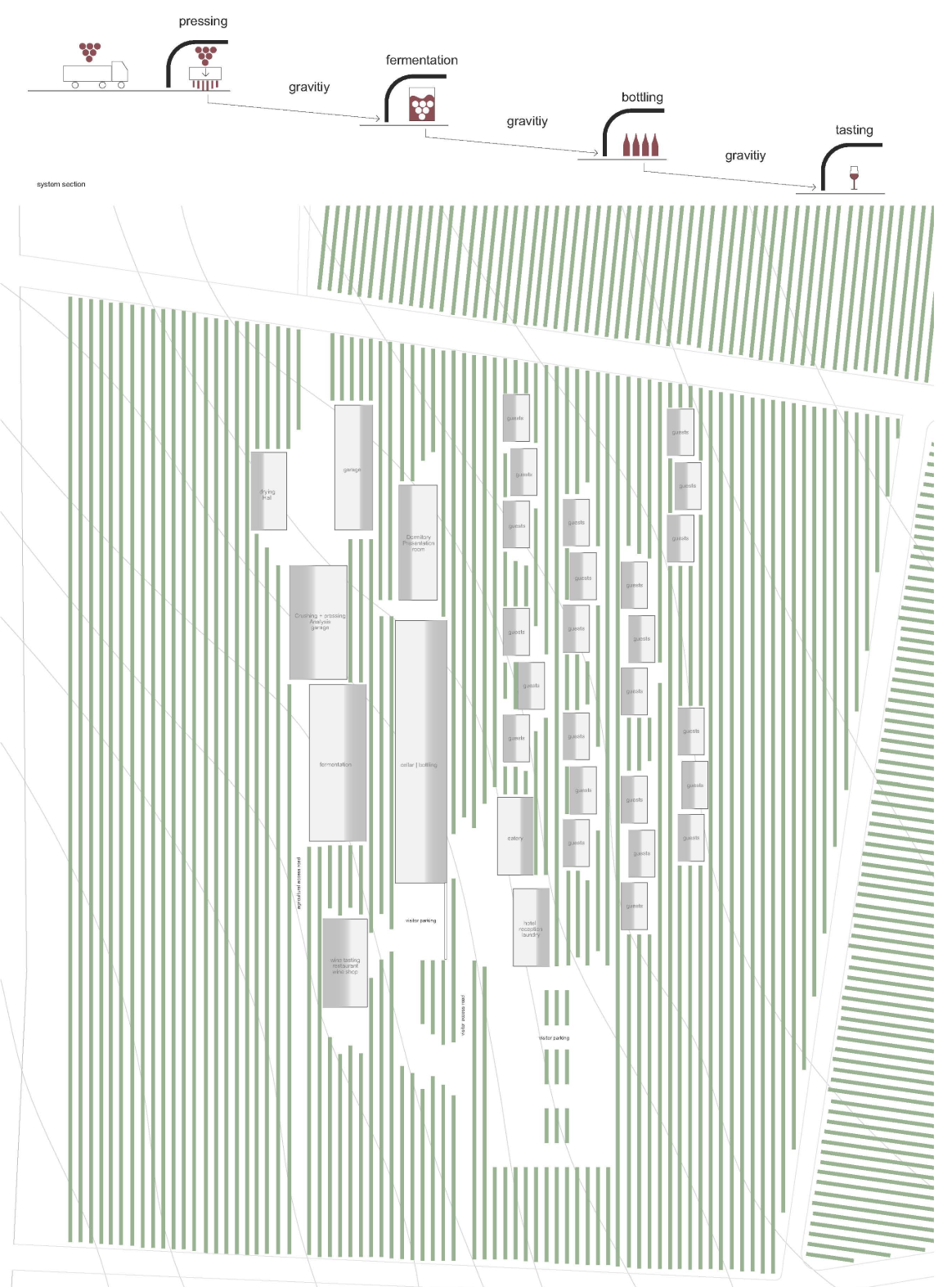 Gravity-fed production sequence organizes pressing, fermentation, bottling, and tasting across the natural site slope.