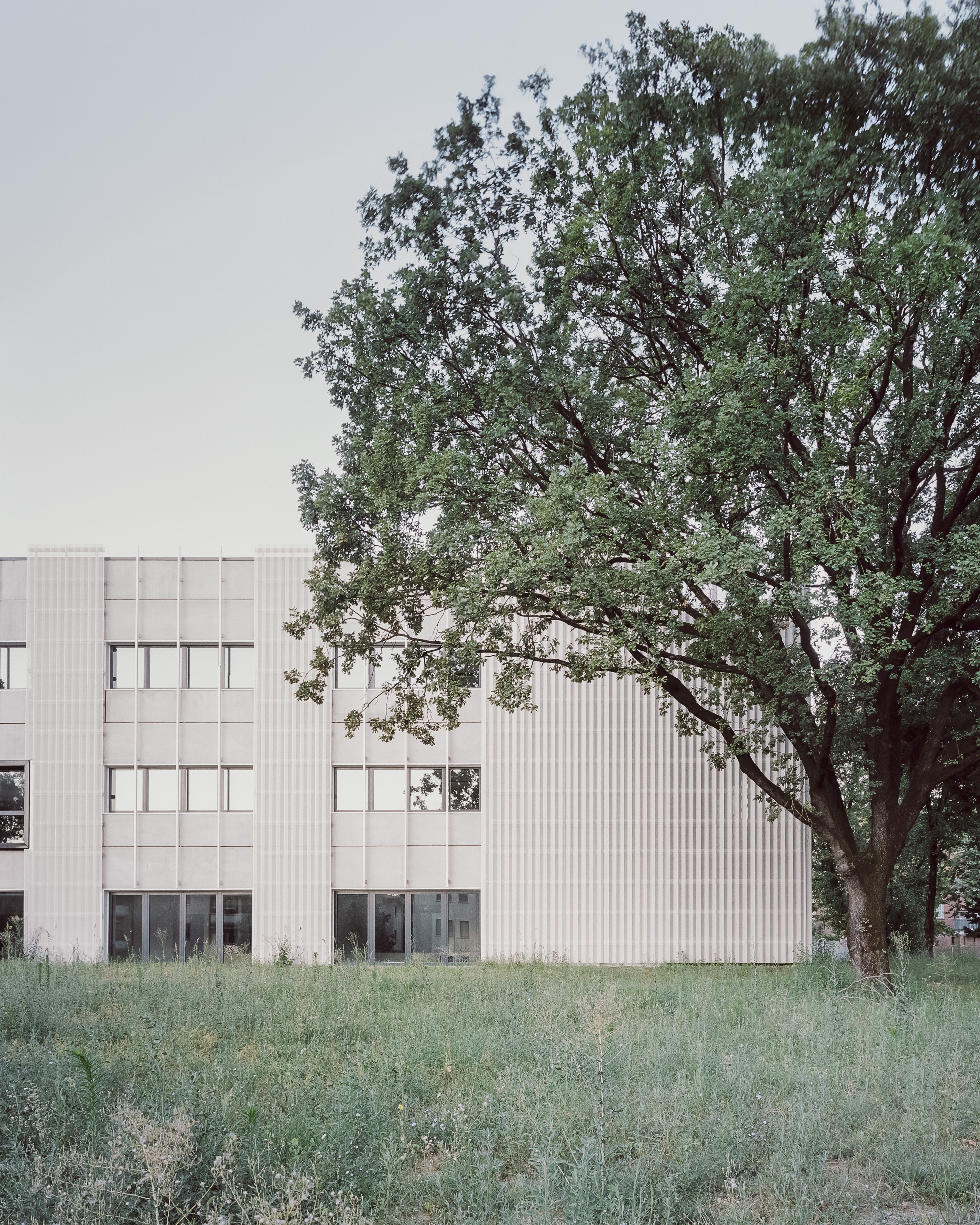 The pavilions seen from outside. Photo © Aldo Amoretti