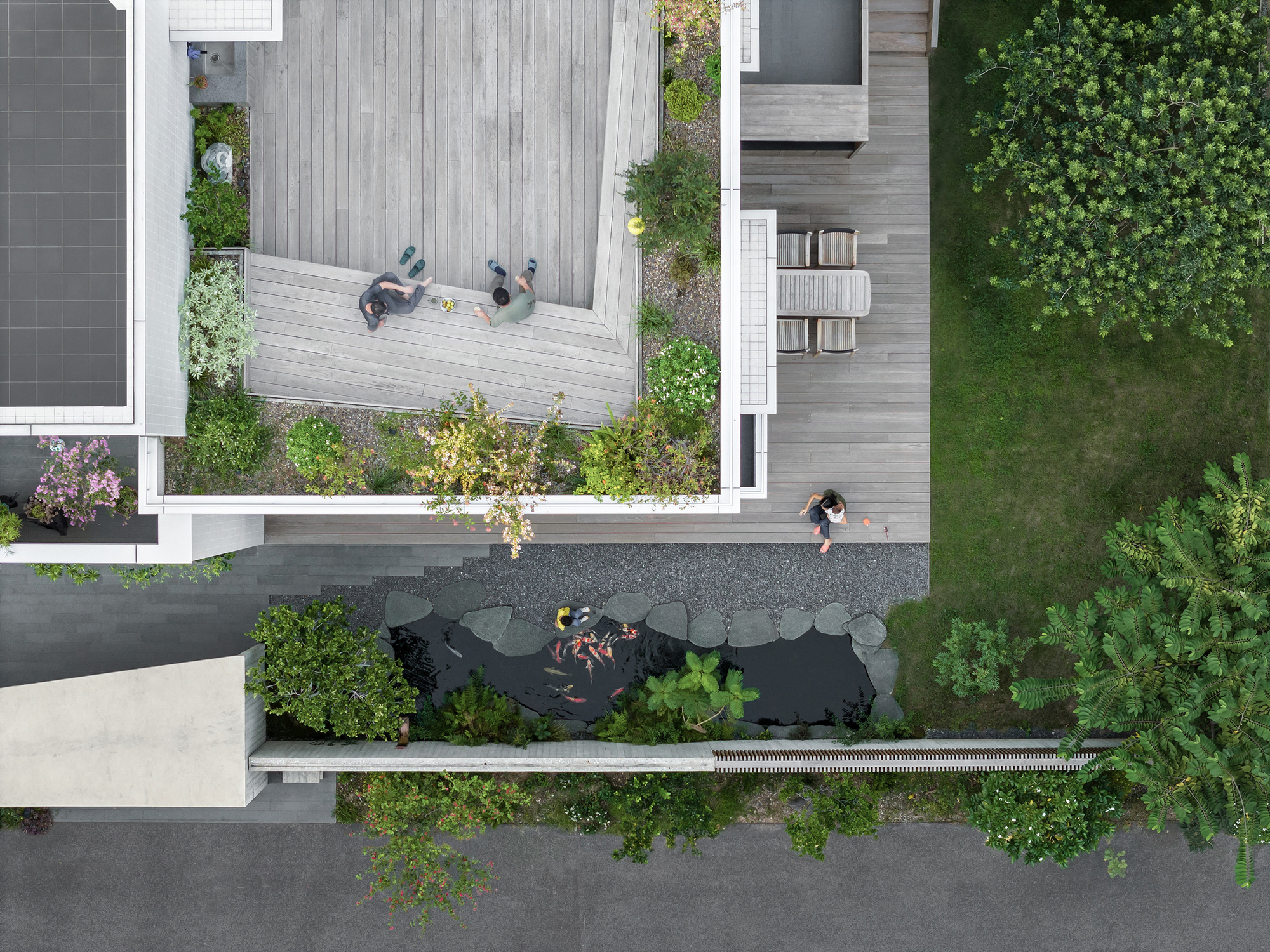 Aerial view of timber decks, koi pond with residents, and planted beds between house volumes
