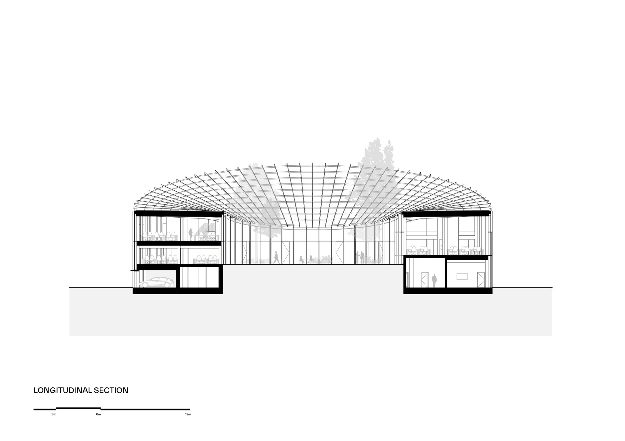 Longitudinal section drawing showing the arched roof spanning between flanking multi-story volumes with a tree silhouette above