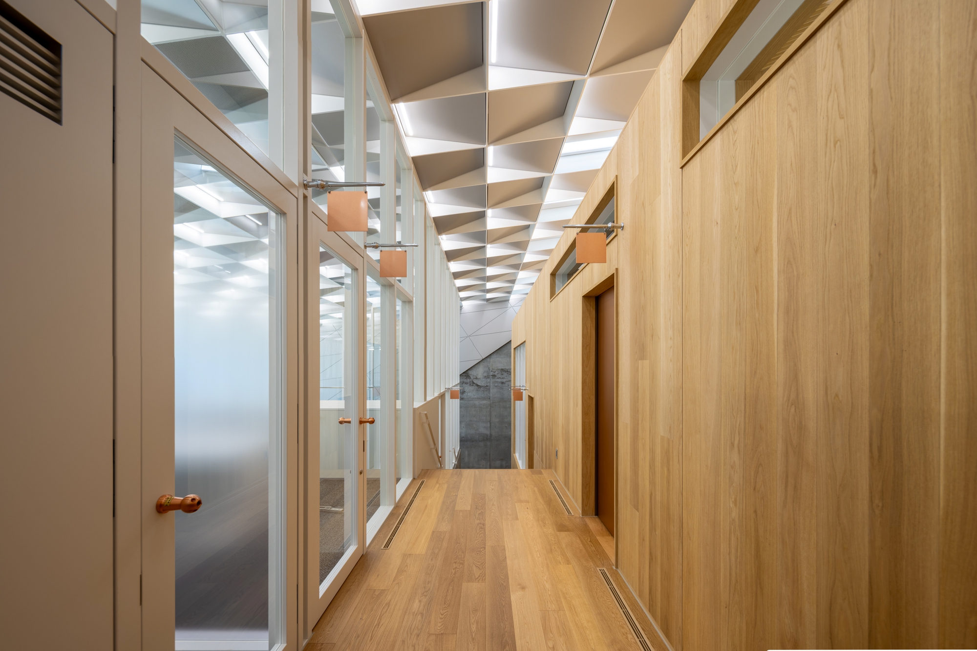 Wood floored corridor with timber wall paneling and white frame partitions under a geometric coffered ceiling