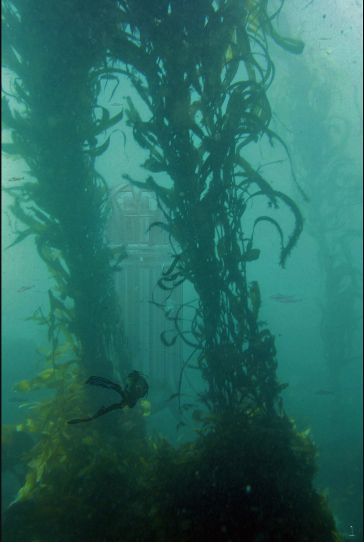 Underwater view of a vertical cylindrical structure wrapped with kelp in green-tinted water
