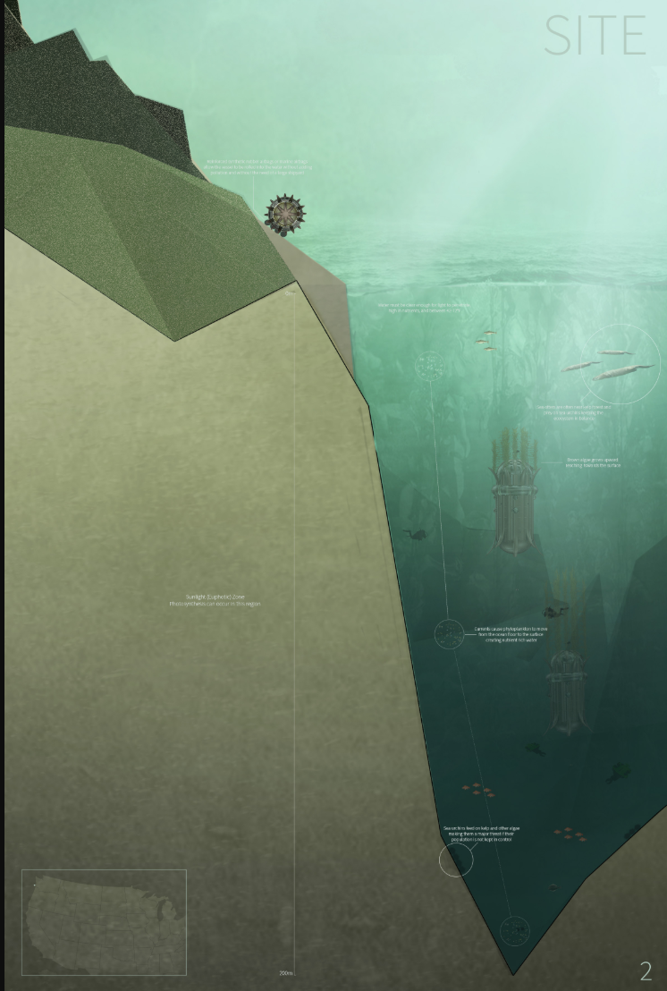 Site section drawing showing submerged tower structures beneath coastal cliffs and underwater vegetation