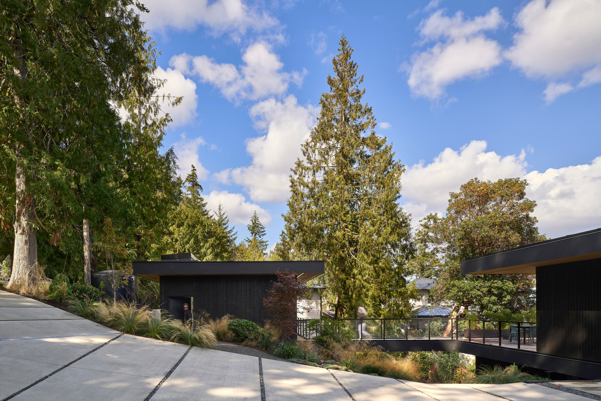 View of low-slung dark cladded volumes among tall deciduous and conifer trees on a bright afternoon