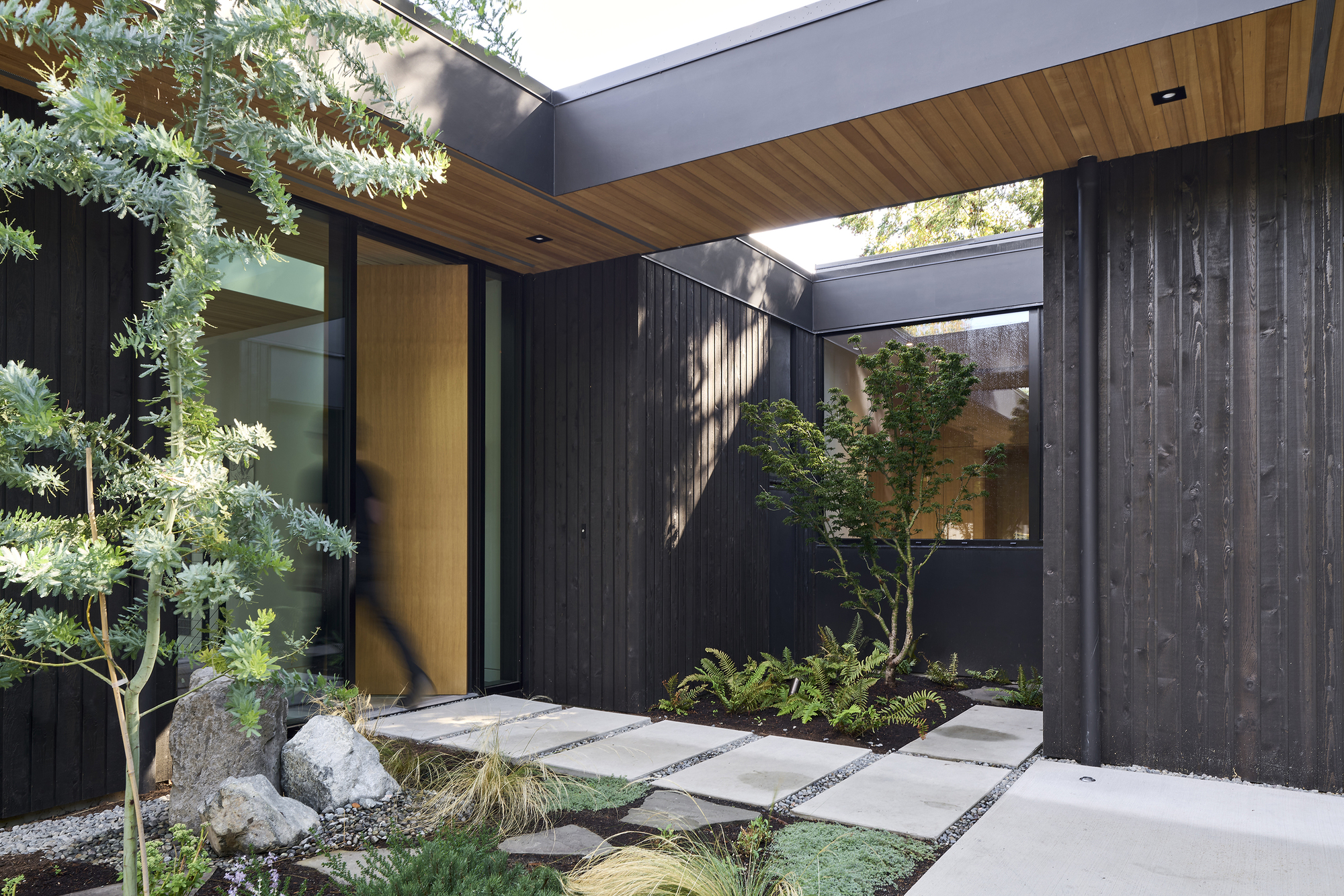Interior courtyard with timber ceiling, charred wood walls, and stepping stones amid planted beds and boulders