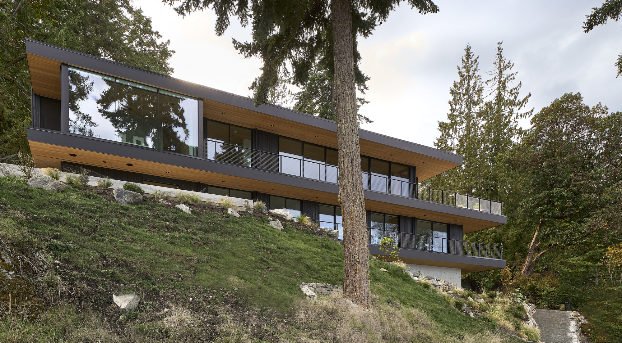 Two-storey volume with timber soffits and glass walls perched on a rocky forested hillside