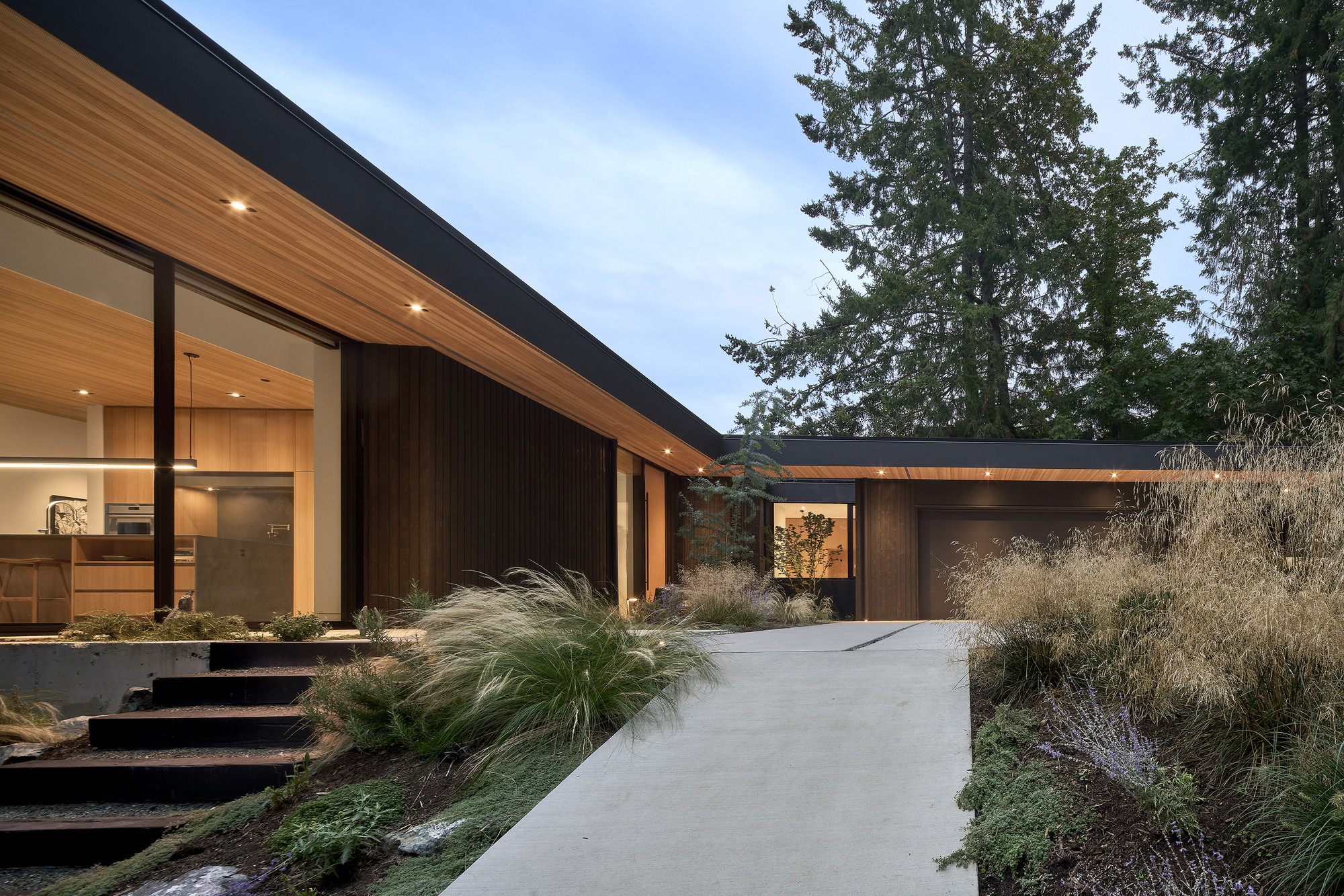 Planted concrete pathway approaching the entry with dark cladding and tall evergreens overhead