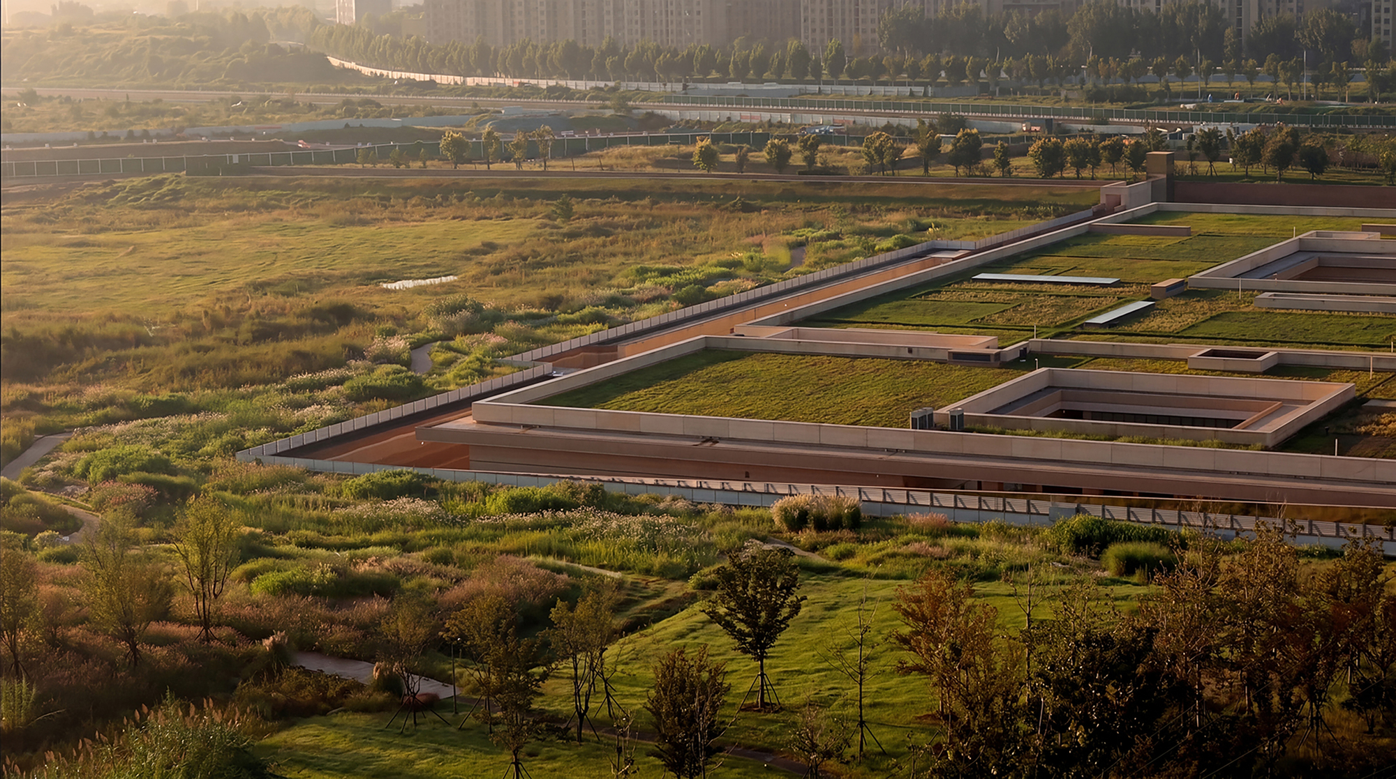 Aerial view of rectangular earth-sheltered roofs with planted beds surrounded by wild grasses at golden hour