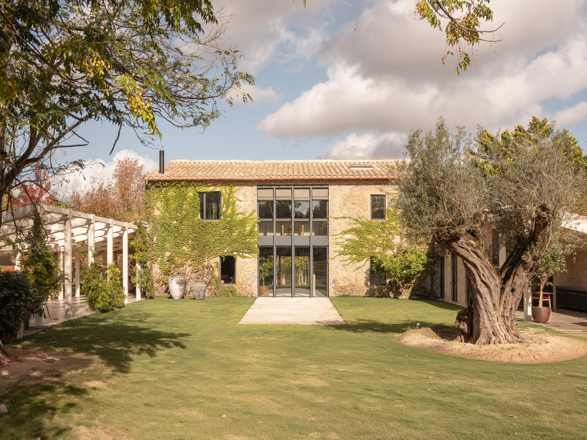 Rear elevation with glazed central bay flanked by climbing vines and an olive tree in the lawn