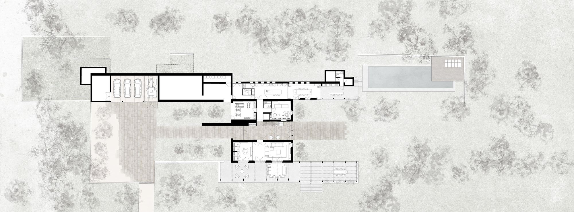 Site plan drawing showing the arrangement of volumes, pathways, and tree canopies across the property